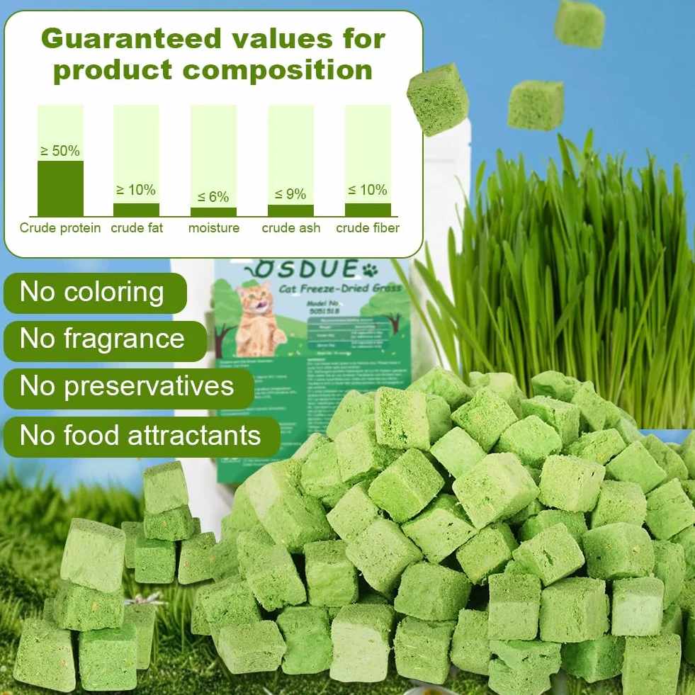 OSDUE Golosina de Hierba Gatera para Gatos, 100g Snack Liofilizado con Hierba Gatera para Limpiar los Dientes, Palillo Masticable para Gatos Favorecer Digestión y Absorción, Cat Grass Teething Stick