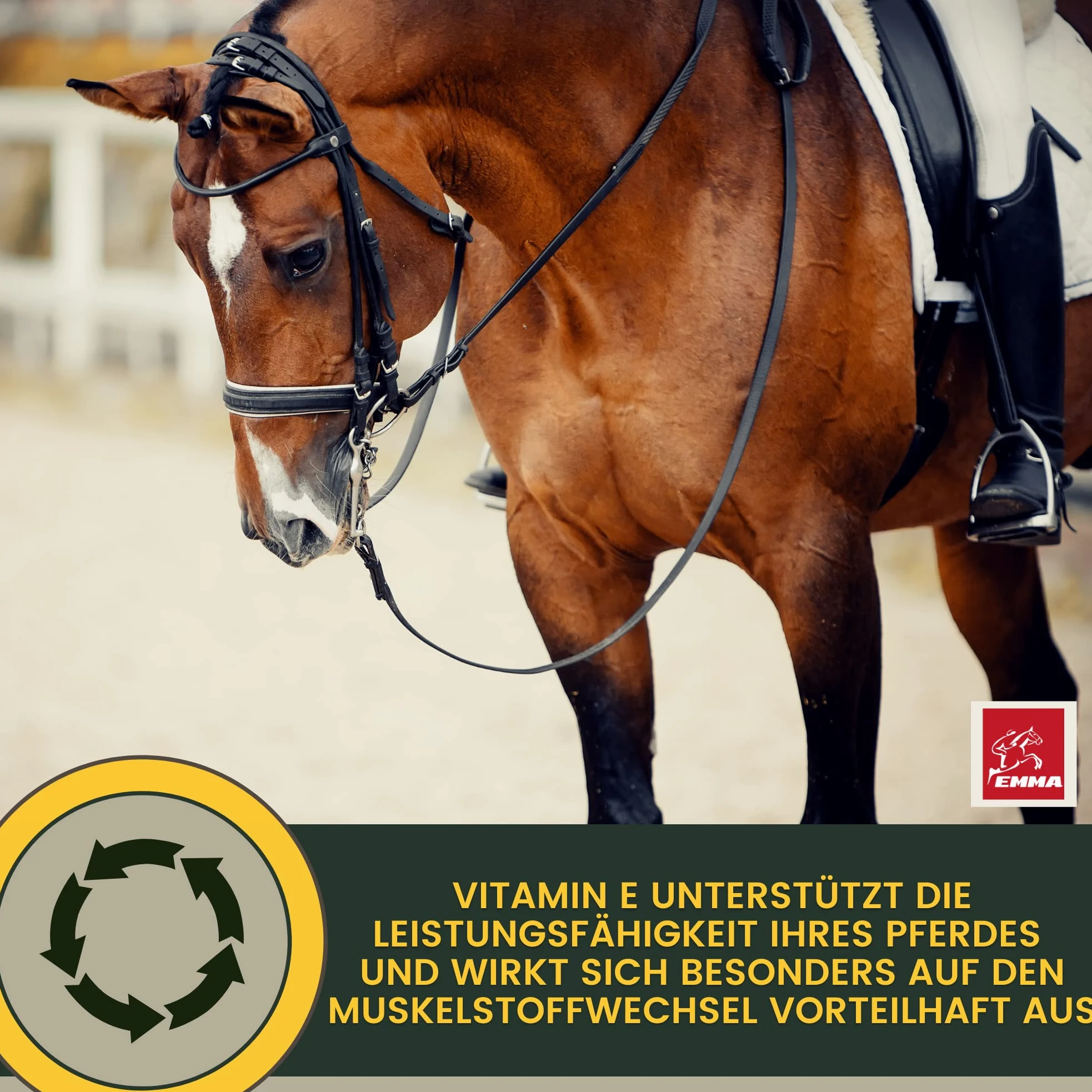 EMMA Alimento mineral y biotina para caballos – Biotin Zinc Pellets para pezuñas, piel y pelo • Minerales con zinc, selenio, magnesio, levadura de cerveza y vitaminas para el crecimiento de pezuñas