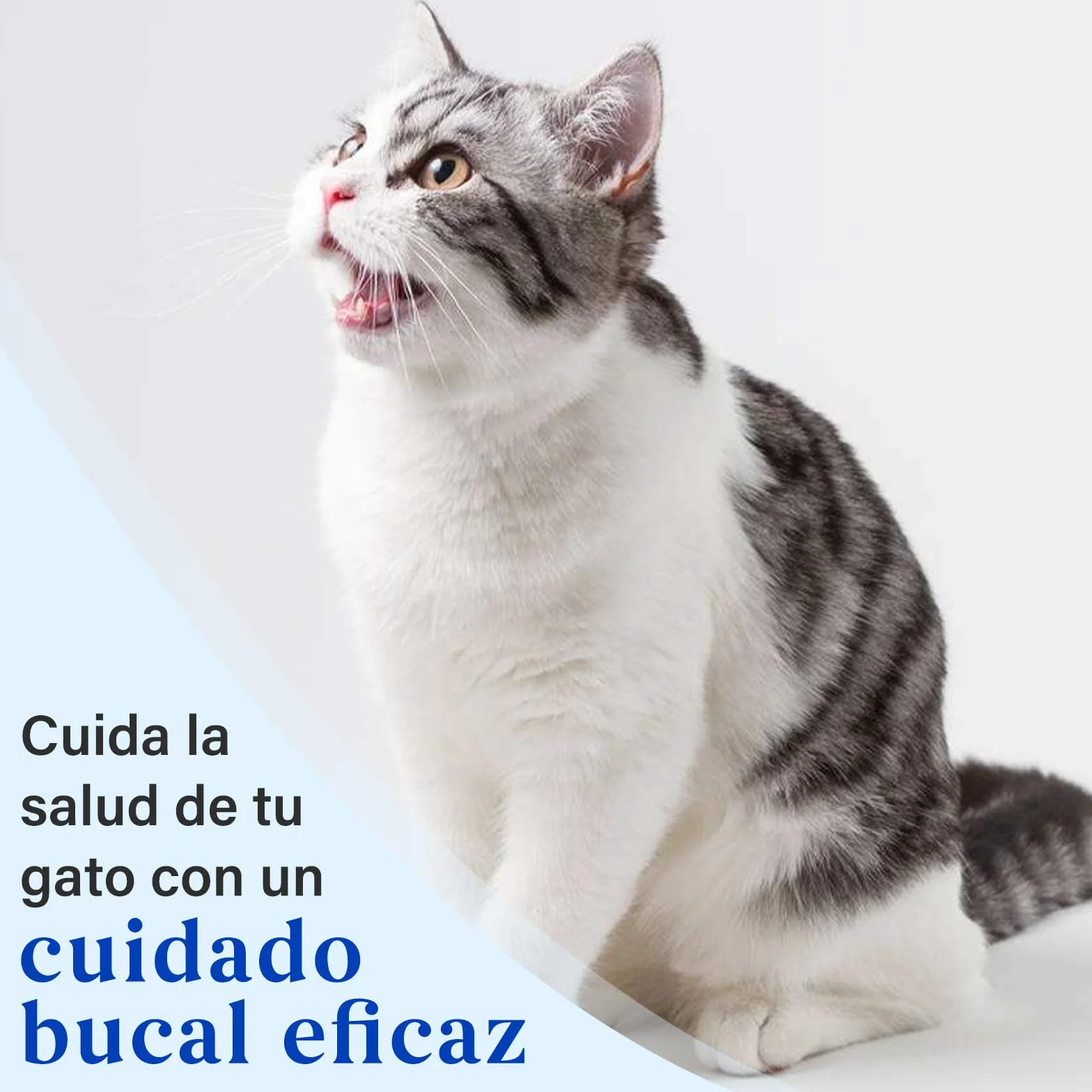Juego de Cuidado Dental para Gatos, Pasta Dentífrica Sabor Atún 30 g, Incluye 2 Cepillos dientes gato, Fórmula Suave para el Cuidado Dental y un Aliento Fresco