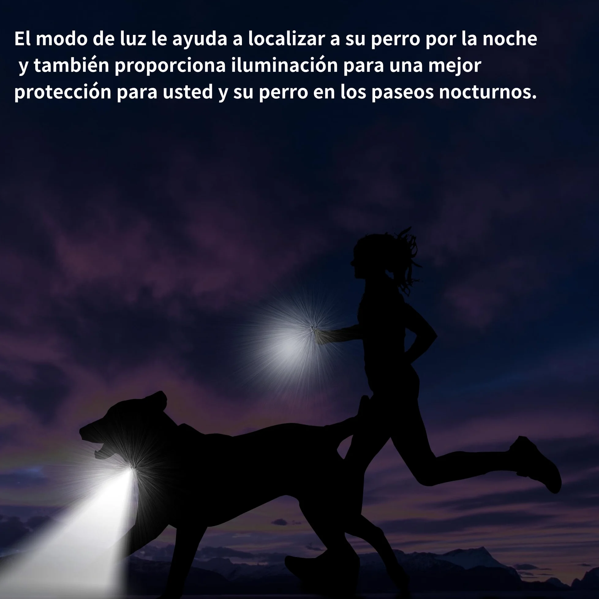 Meloive Collar para Perro,Collar Nylon Reflectante Impermeable,Duradero y Cómodo para Perros Grandes,Medianos y Pequeños,2 Collars