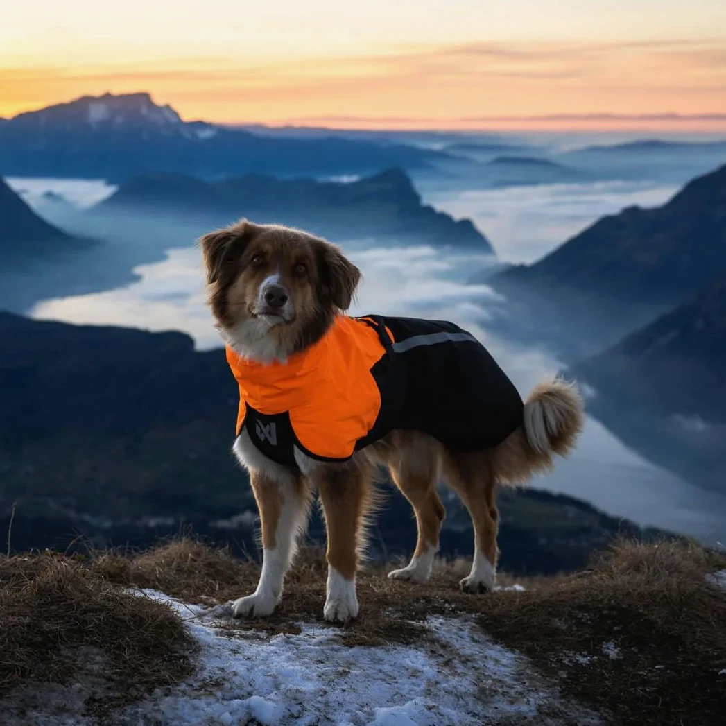 Non-Stop Dogwear Fjord Raincoat 2.0 Impermeable para Perros, Negro/Naranja, Talla 40, Resistente al Viento y Agua, Material Reciclado, Poliéster