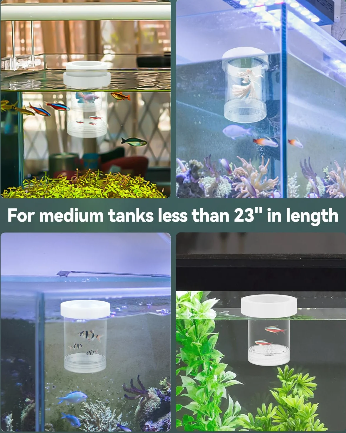 Pawfly Caja de Cría para Acuario, Pecera de Reproducción Flotante para Guppys, Separador para Alevines, Incubadora de Plástico para Camarones, Betta y Pez Payaso, Mediana