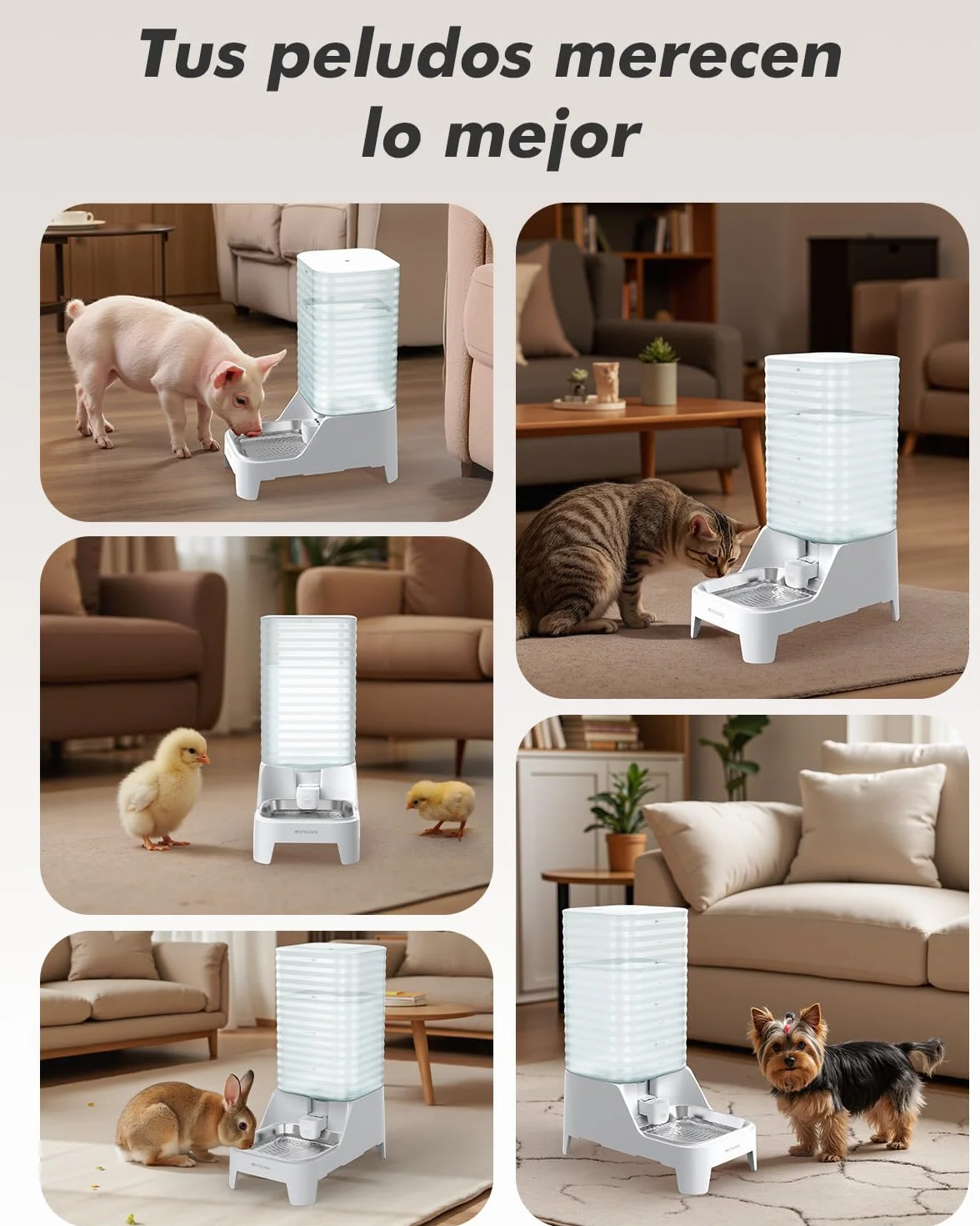 8L Bebedero Gatos por Gravedad con Grifo Patentado, Comedero Gato automático con Filtro y Base Ajustable, Boca Ancha para fácil Limpieza, Materiales Aptos para Alimentos