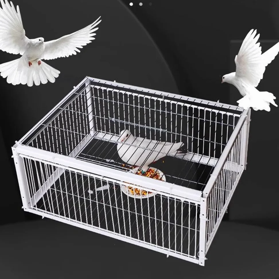 Jaula trampa para palomas, entrada unidireccional, portátil, fácil montaje, jaula de hierro resistente al óxido para palomas y pájaros, diseño a prueba de escapes, ideal para control de aves