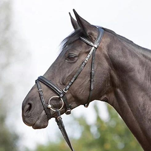 Kieffer - Dobladillo para caballo (muy suave, con perlas y nuca acolchada), color negro, Extra Warmblut