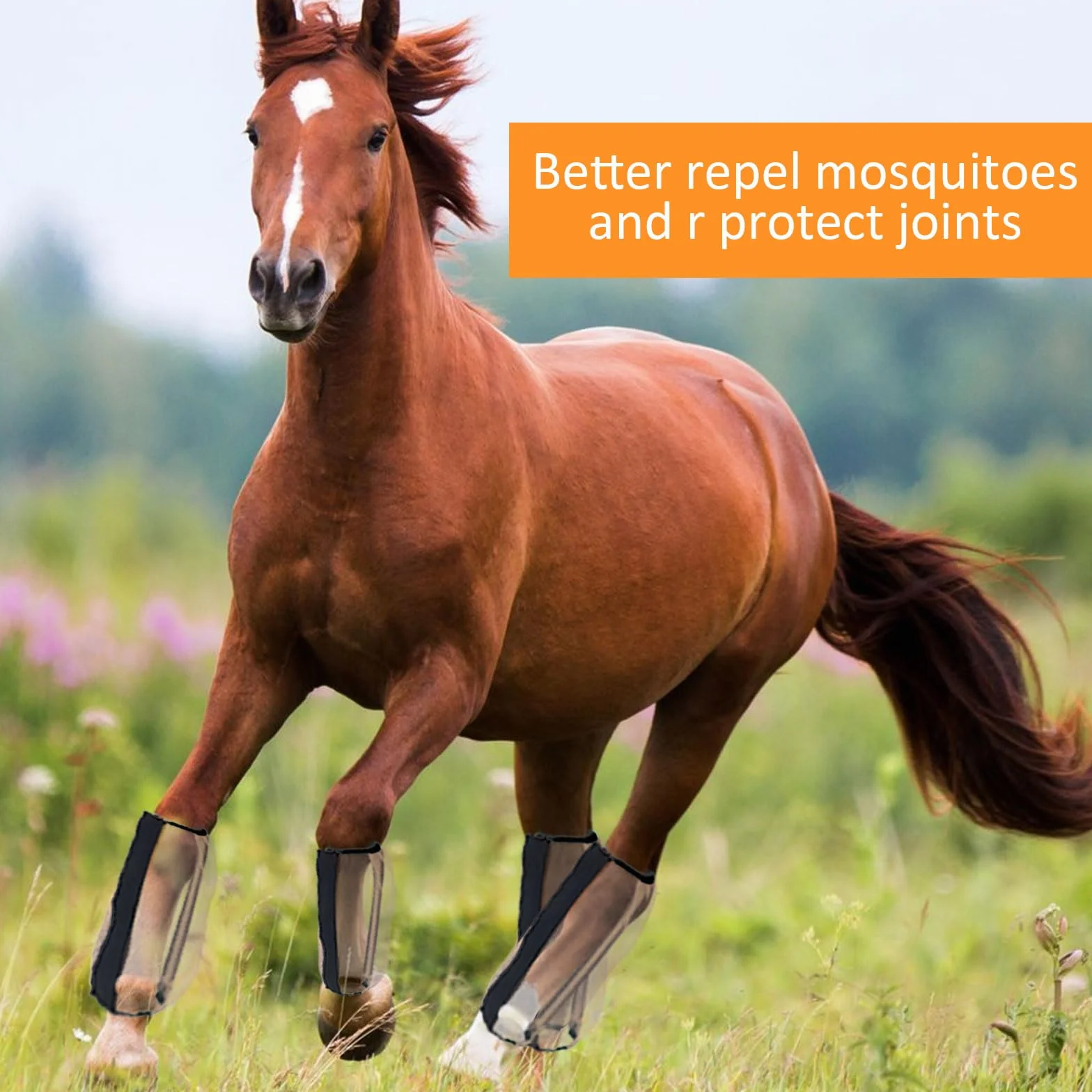 Fundas antimosquitos para patas de caballo, talla universal, malla fina transpirable