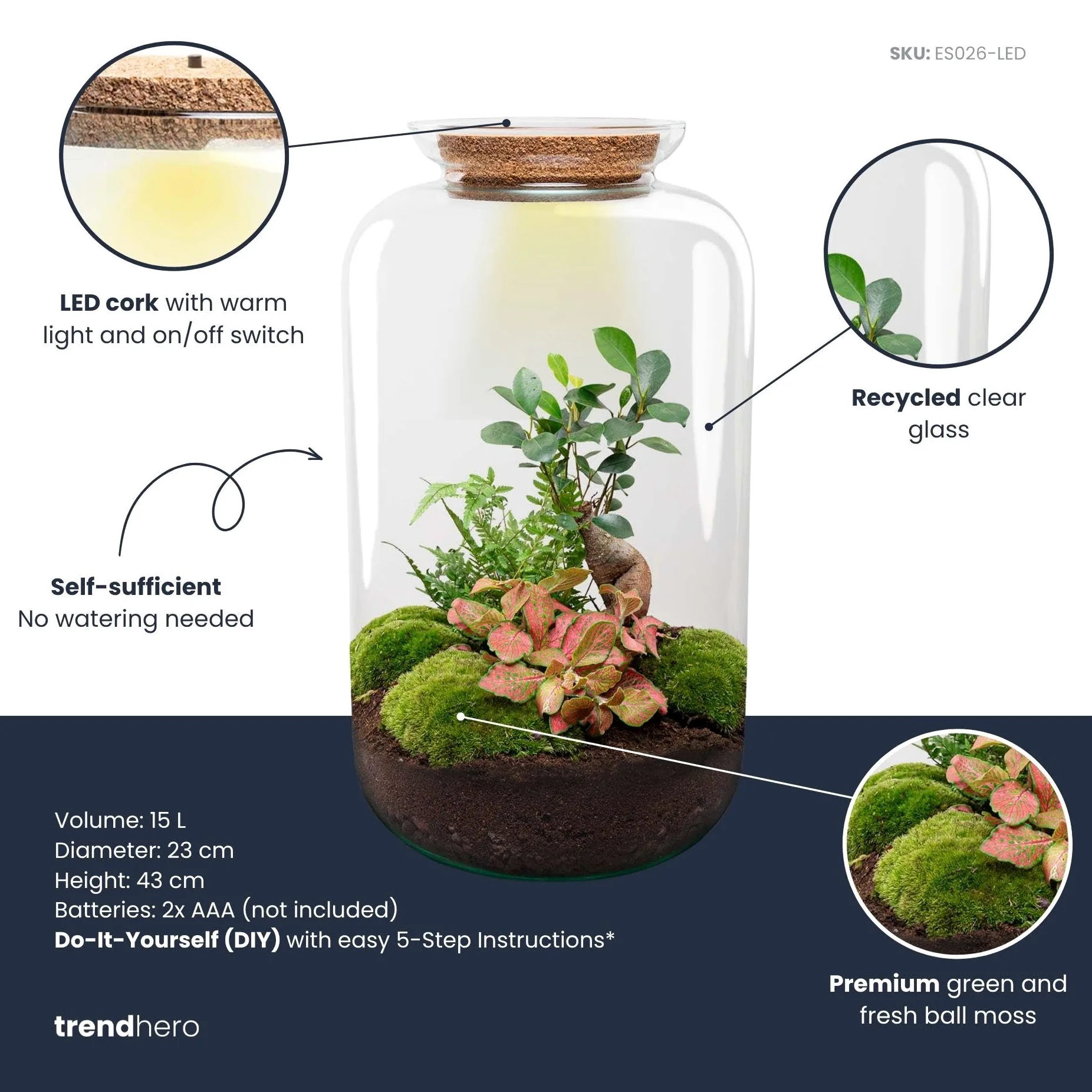 Terrario DIY de Cristal con Luz, Decoración de Hogar, Verde, 43 cm