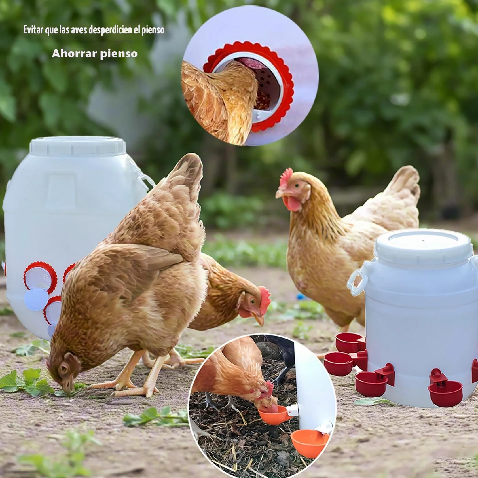 Comedero Automático 50L y Bebedero 10L para Gallinas/Patos - Diseño HDPE Antidesperdicio con Tapa Bloqueable, Sistema de Alimentación Inteligente para Granjas(Size:50L+10L)