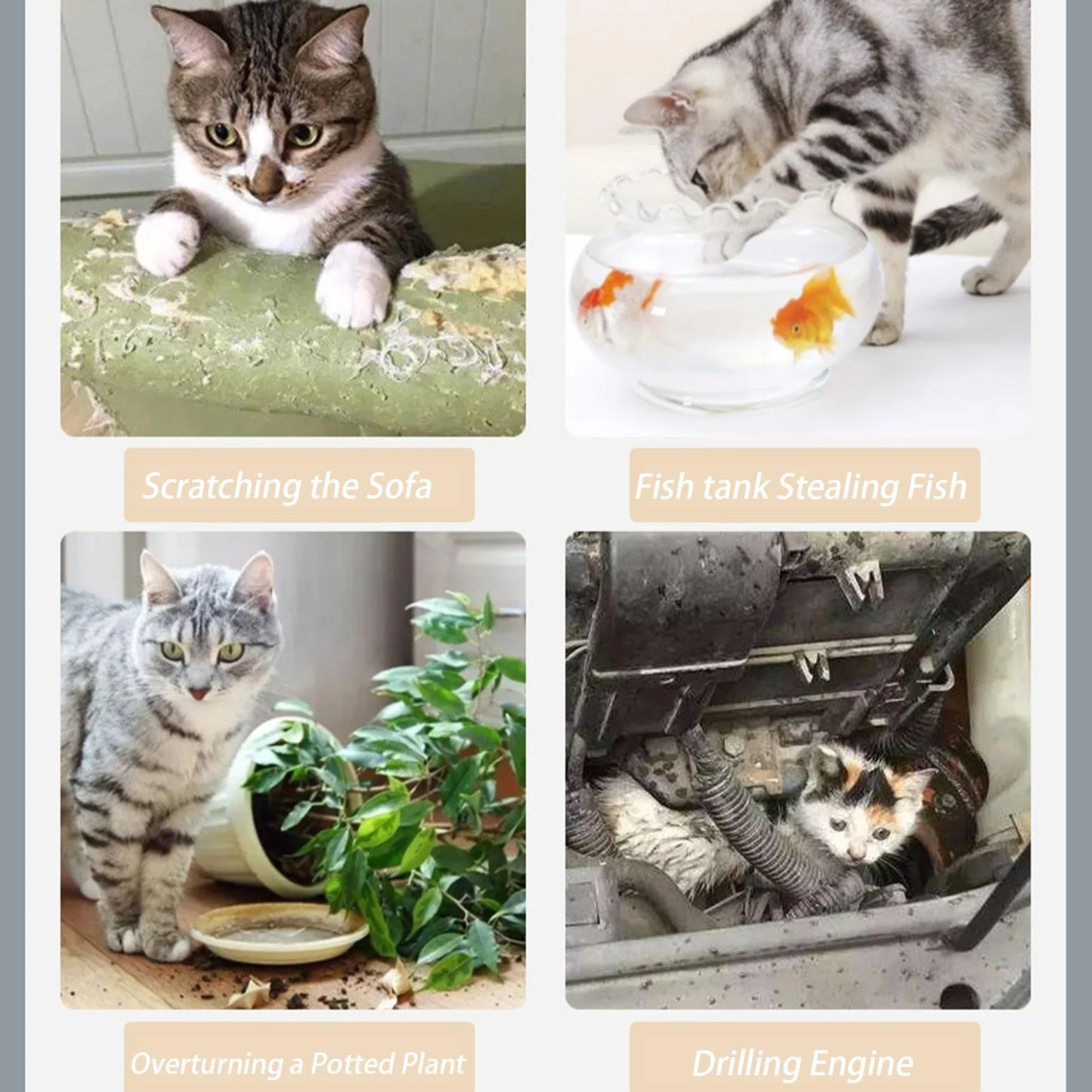 Alfombrilla Anti Gatos, Rejilla Antigatos 10 Unidades | Pinchos Disuasorios para Jardín y Balcón | Protección Duradera Interior/Exterior | PP Reciclado, Antideslizante 42 * 34cm (12, Transparente)