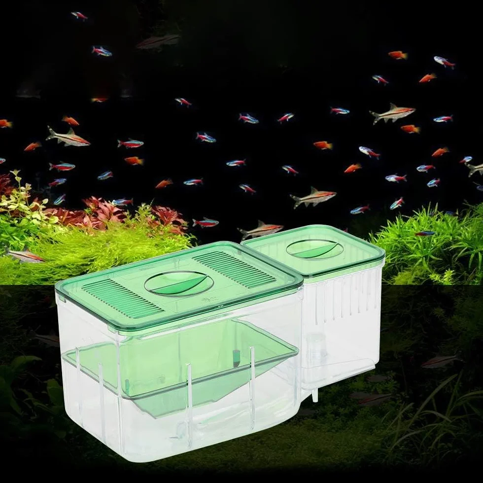 Caja de cría para acuarios Caja de cría de Peces de Doble Capa Caja de Aislamiento Incubadora de cría de alevines Incubadora de Aislamiento Segura para acuarios