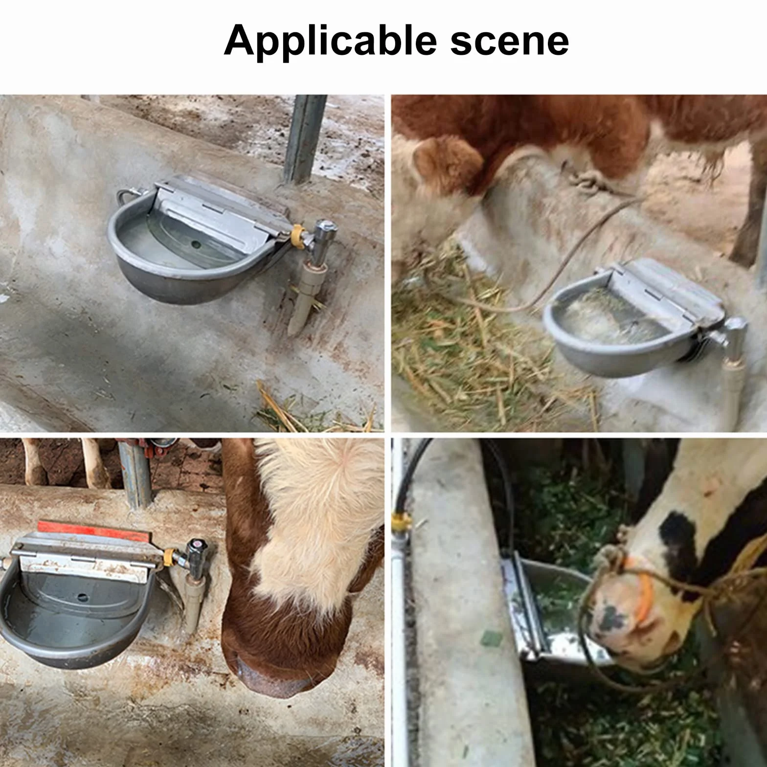 Bebederos AutomáTicos Flotantes de Acero Inoxidable para Ganado, Caballos, Cabras y Perros - Herramientas para Mascotas