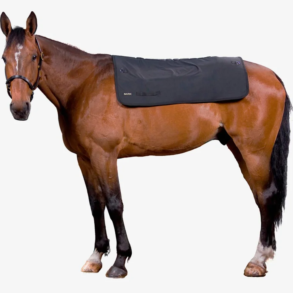 Calentador de dorso Back-On-Track, 100 cm x 100 cm