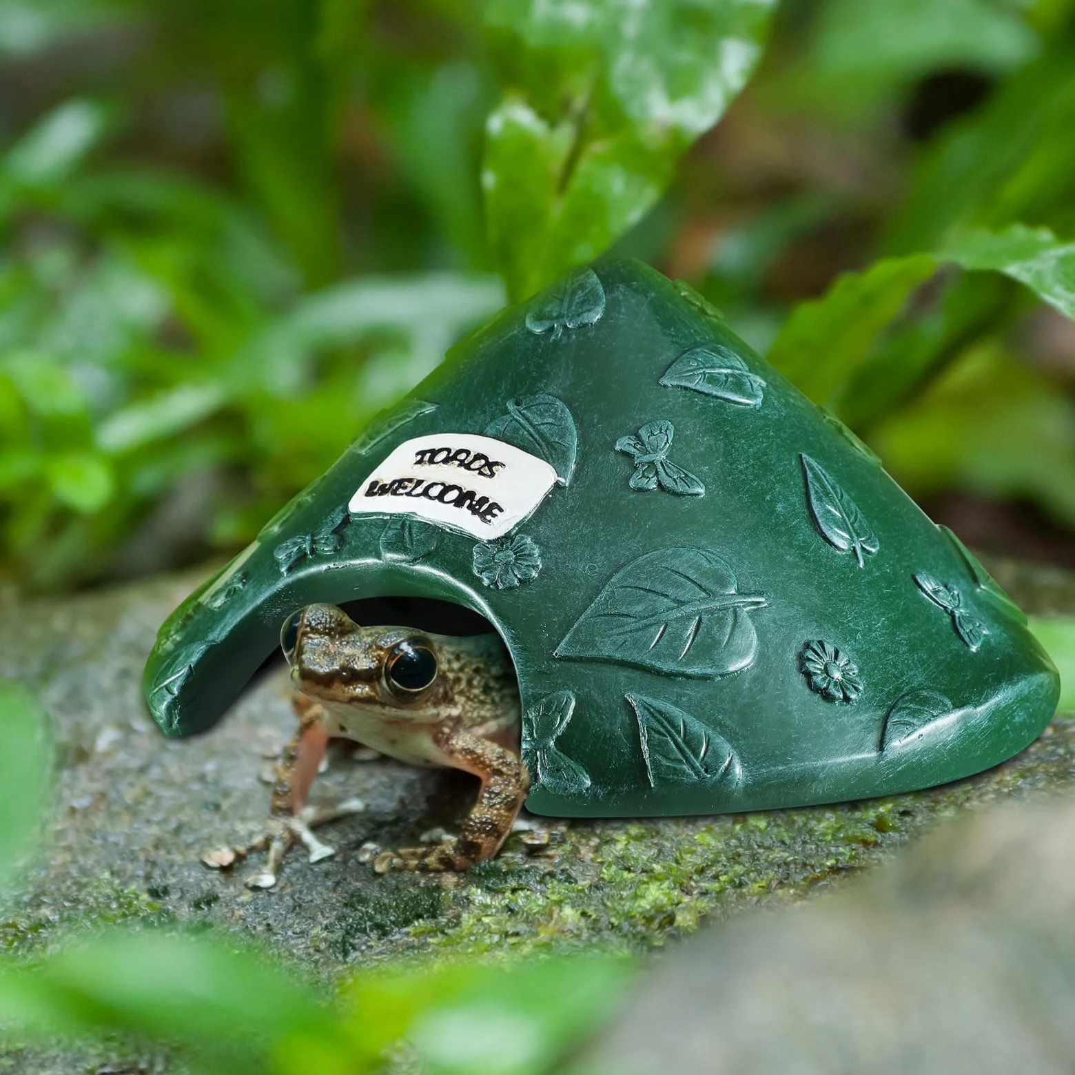 Casa de rana y sapo de resina, cueva para reptiles, 8 x 8 x 3.9 pulgadas, casa de sapo para jardín exterior, acuario, escondite para sapo, rana, tortuga, lagarto, araña y peces (verde)