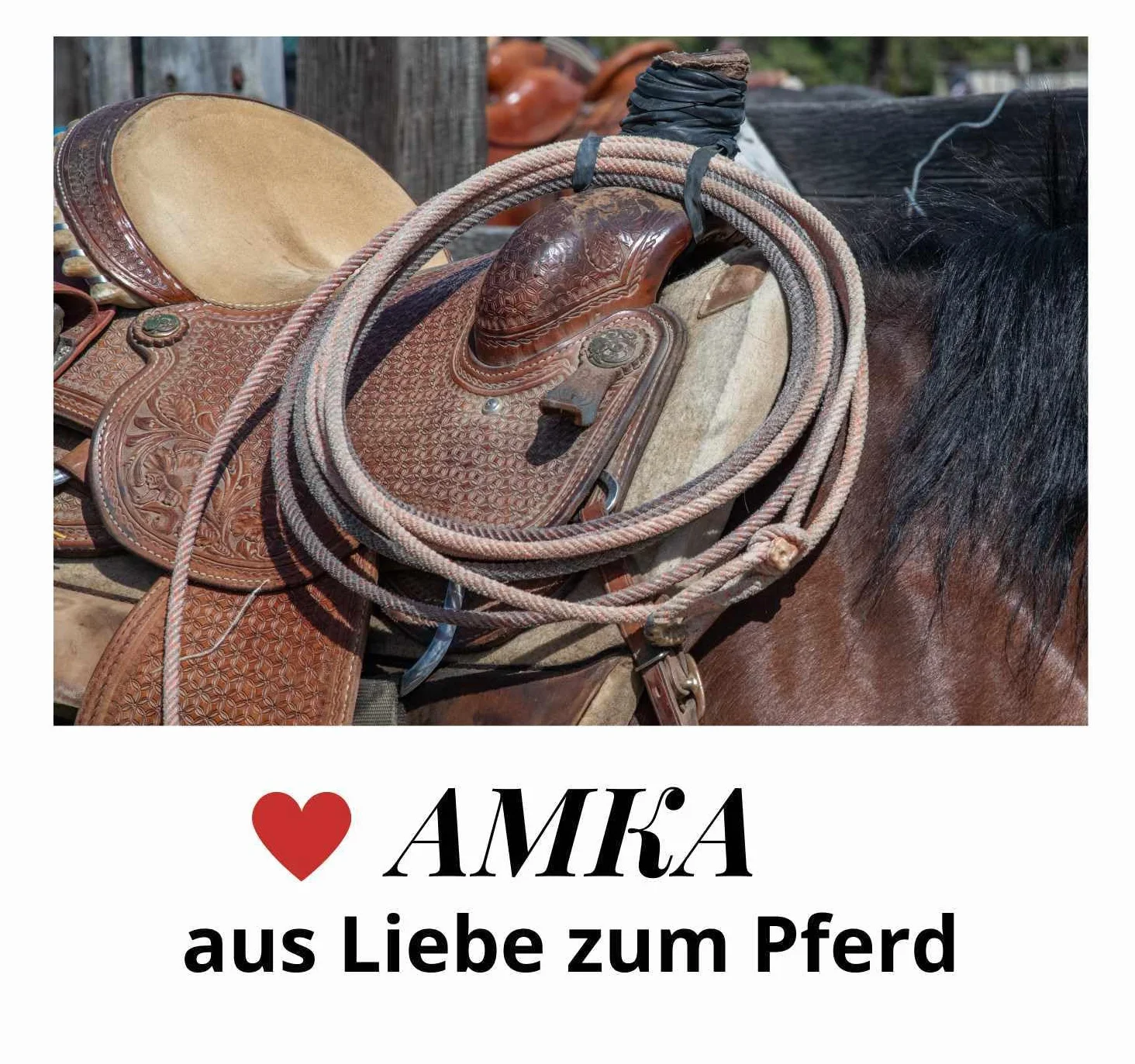 Reitsport Amesbichler AMKA Westernpad rojo Pony sillín Navajo manta 66 x 66 cm oeste silla de montar para poni Saddle Blanket