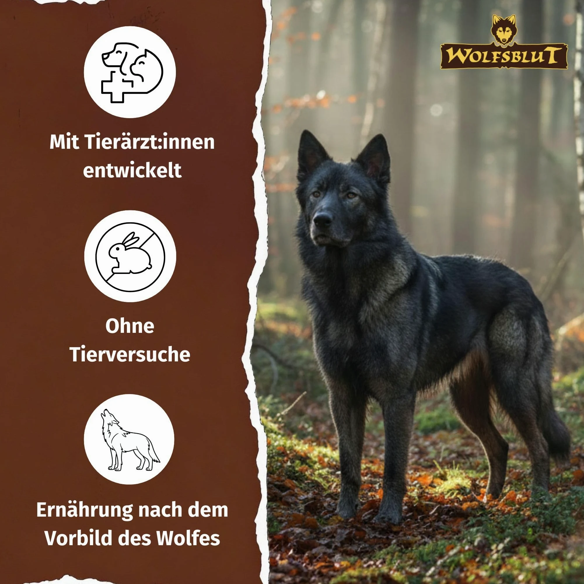 Wolfsblut Dark Forest Adult 12.5 Kg