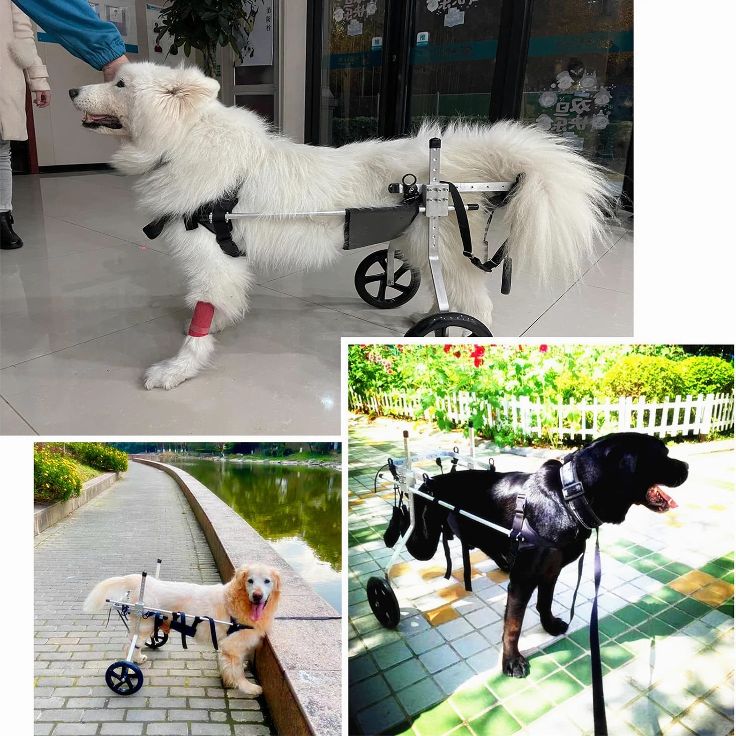 2 Ruedas Silla De Ruedas Ajustable Carro De Animales Con Discapacidad Física Scooter Para Mascotas Para Mascotas Silla De Ruedas Para Rehabilitación De Patas Animales Discapacitadas(Size:M（15-20kg）)