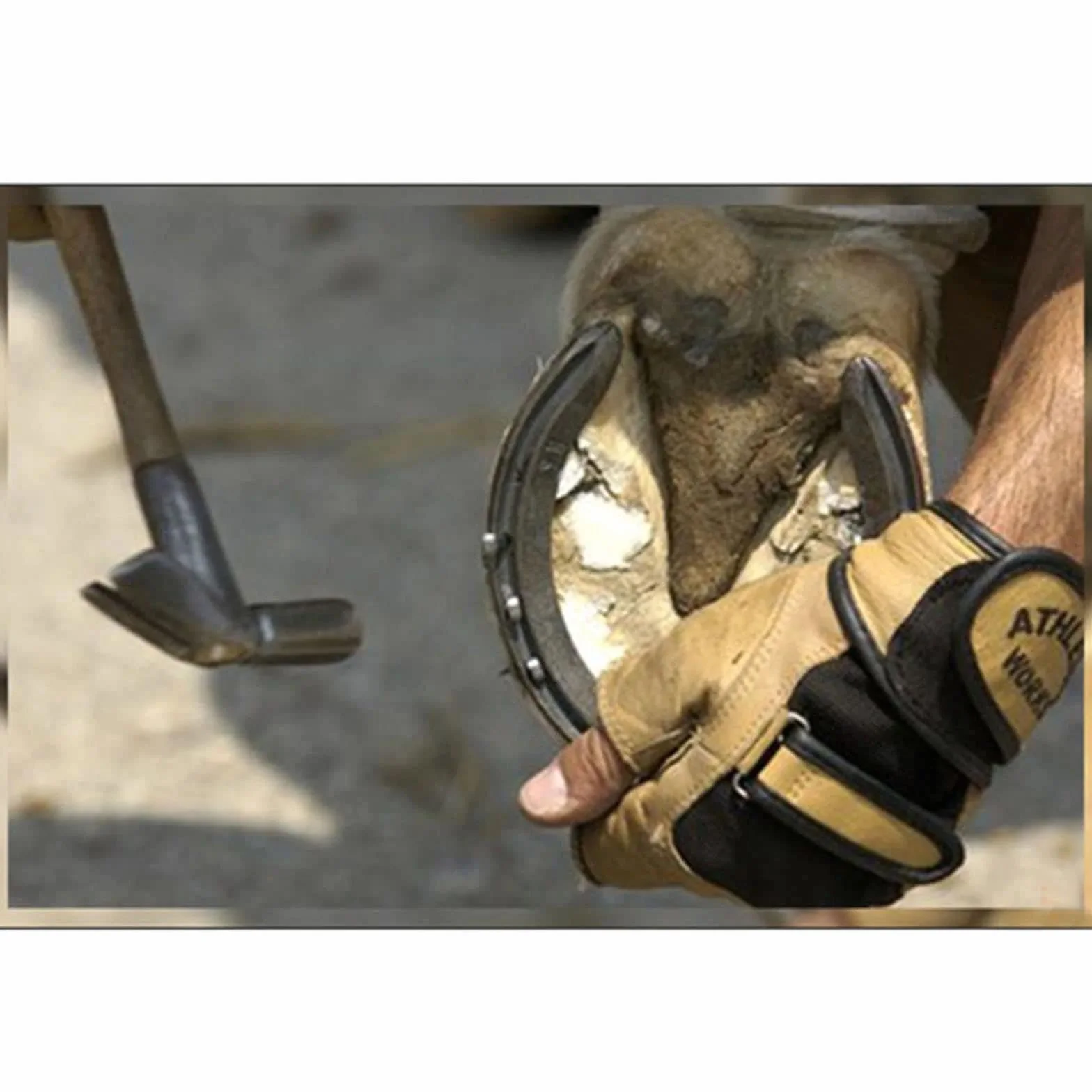 40 Piezas Clavos para Herraduras 54mm - Acero al Carbono Antioxidente - Clavos Estables para Caballos - Reparación de Herraduras/Pezuñas - Plateado