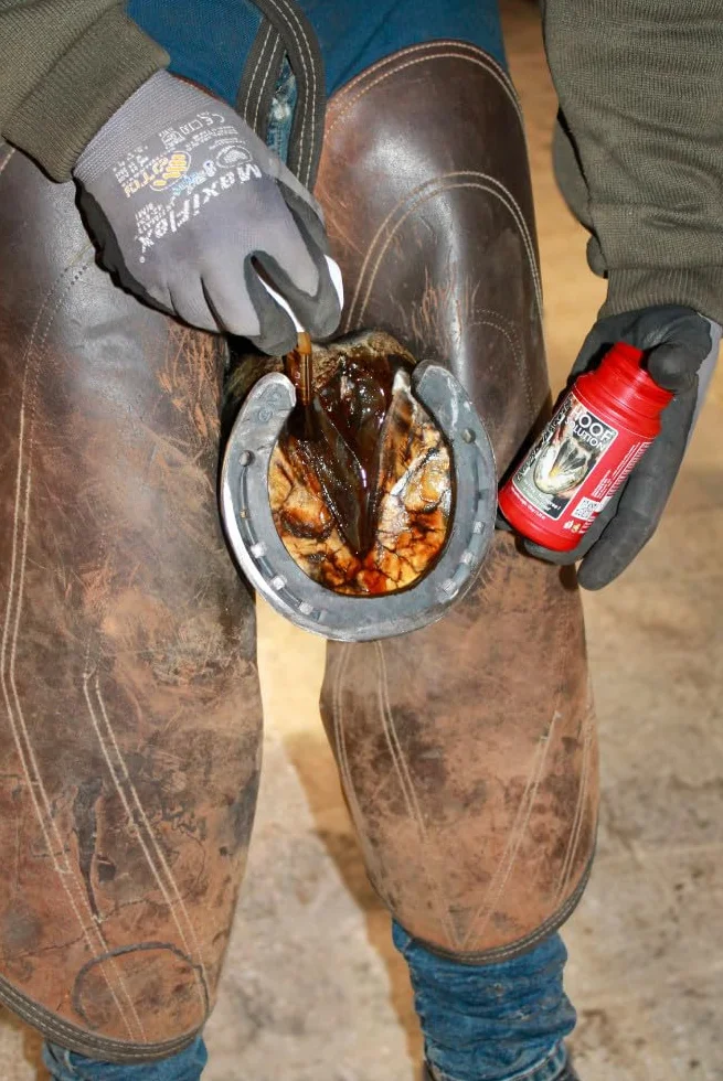 Kevin Bacon's Hoof Solution | 150 g | Apto para Todo Tipo de Caballos | con Cepillo Integrado | Aplicación rápida