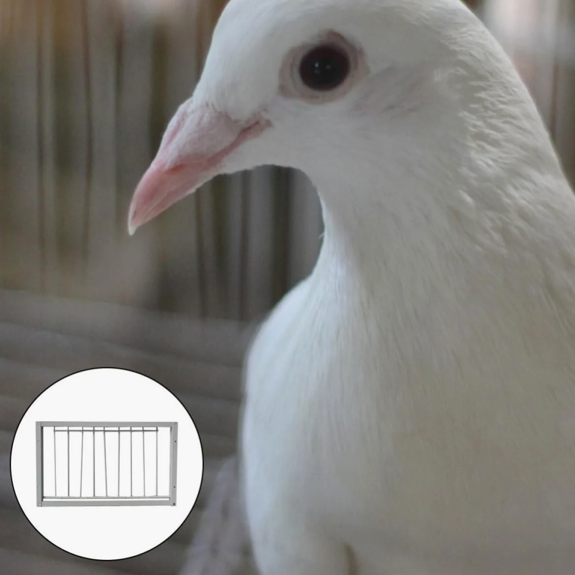 Puerta para Jaula de Pájaros de Hierro Reforzada Diseño Encriptado, Color Blanco, Paquete de 2 Piezas, Adecuado para Casetas de Aves y Suministros para Jaulas