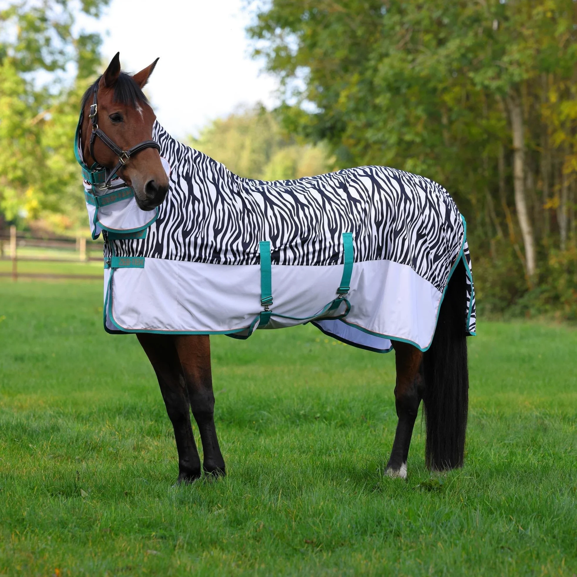 Shires Tempest Zebra Pony/caballo volar para caballos, diseño de cebra: 5 ft3 "