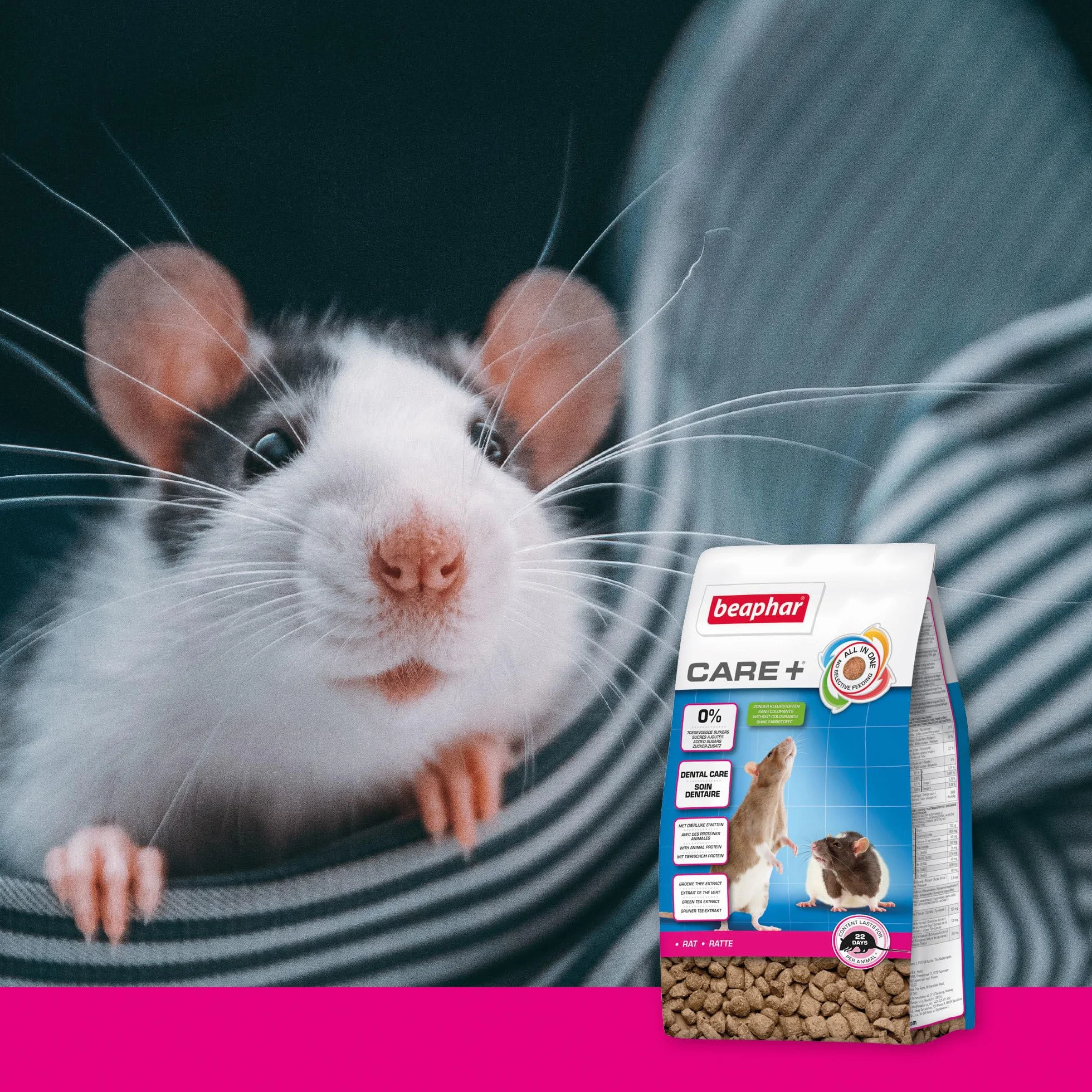 Beaphar - Care+ Pienso Super Premium - Comida para Rata - 1,5kg - Alto Valor energético - Buena digestión - Desgaste de los Dientes y Sin azúcares añadidos- Alimentación Extrusionada