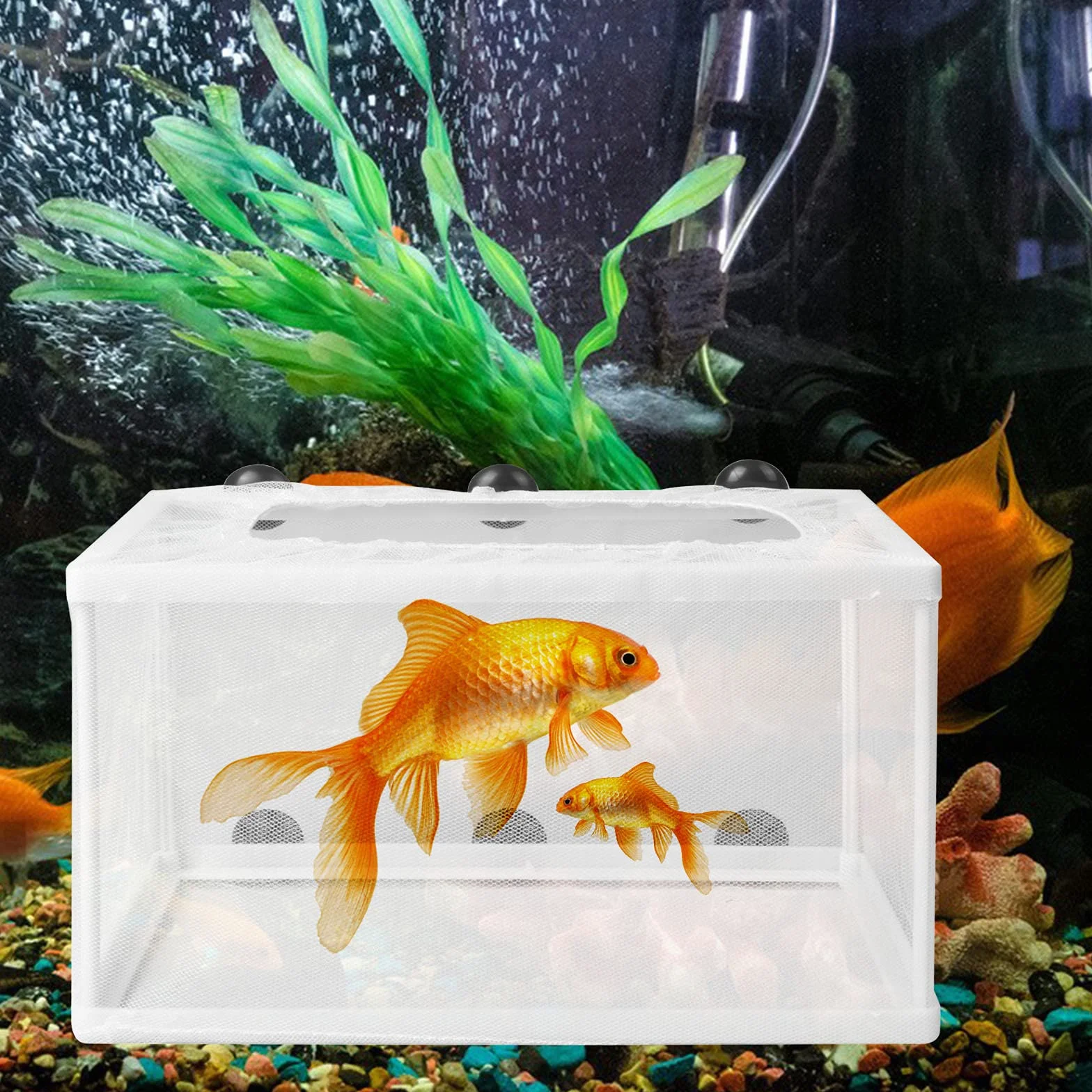 Acuario Criador de Peces, Incubadora de Criaderos, Tanque de Aislamiento Con Ventosas Para Peces Jóvenes, 26,2 * 15 * 15cm