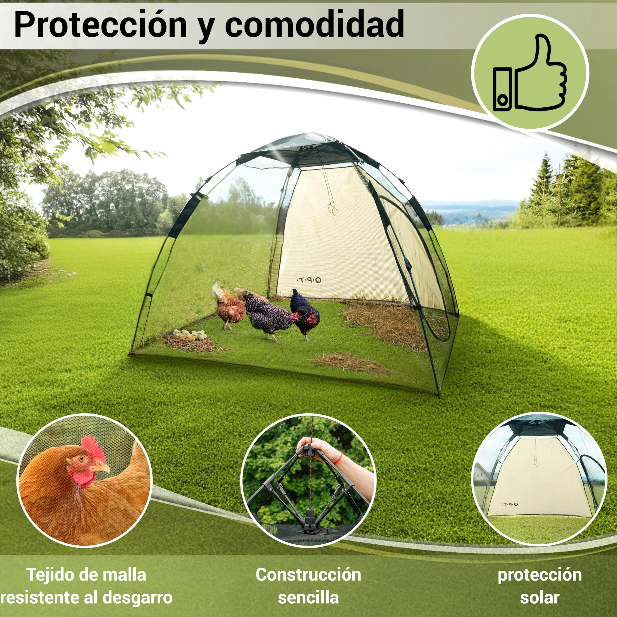 Q.P.T. Recinto para Animales pequeños - 200x180x145 cm, Puede Utilizarse como recinto o gallinero para gallinas, Patos, Pollitos o codornices