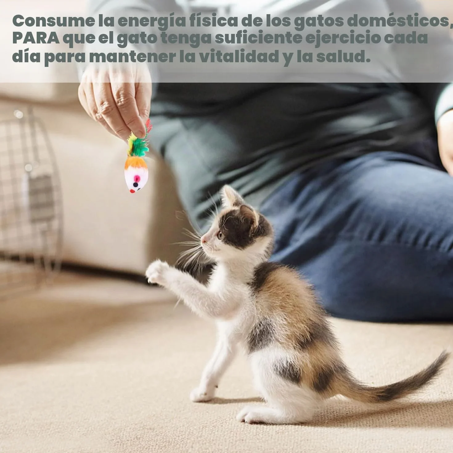 10 Piezas Interactivo Peludo Juguetes Gato Ratones para Gatos Ratón Sonajero Plumas para Gatos Mascota(Colores Variados)