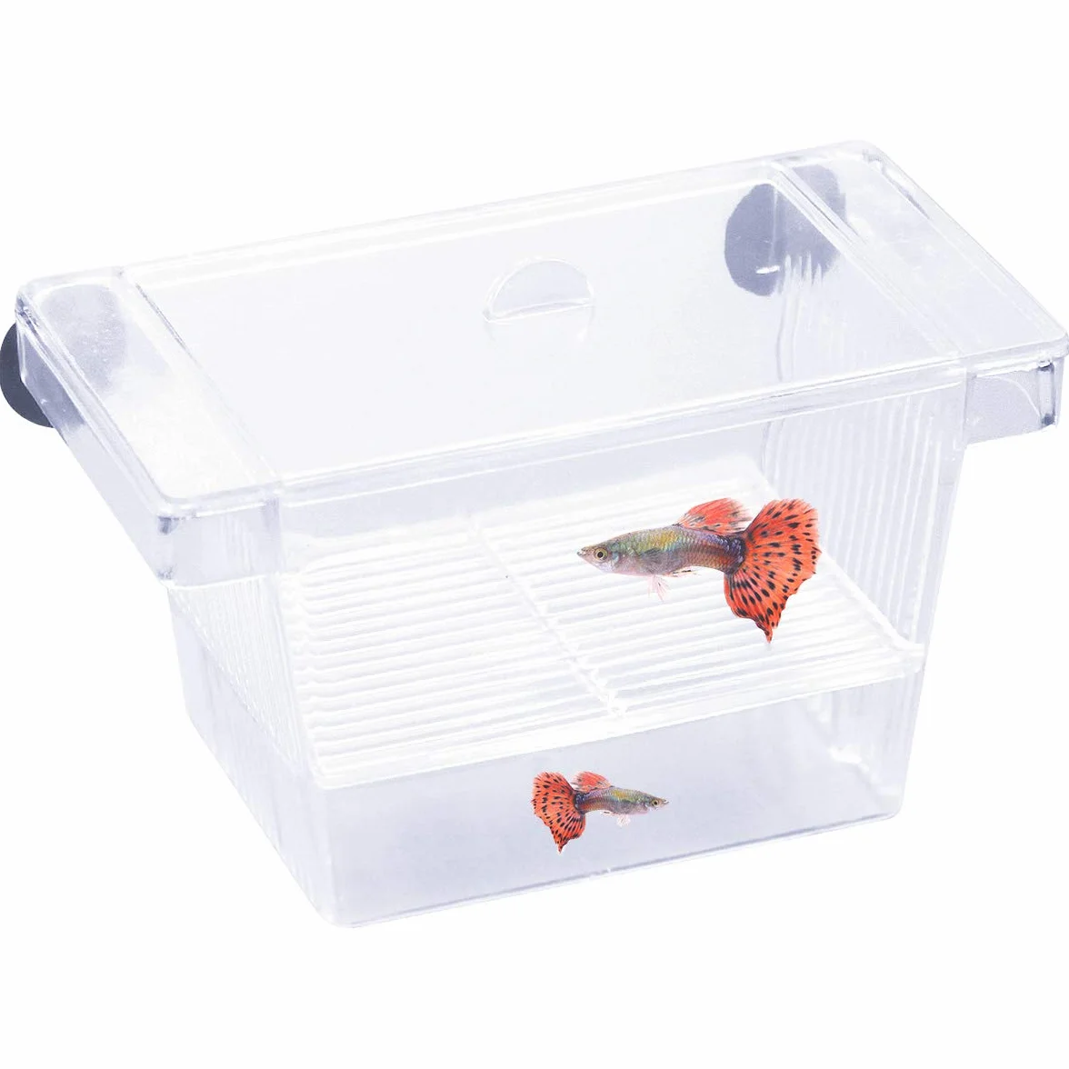 Incubadora para Peces Caja de Cría Peceras Pequeña Acuarios Accesorios con Tapa de Plástico Ventosa Caja de Plástico Transparente para Camarón Tortuga