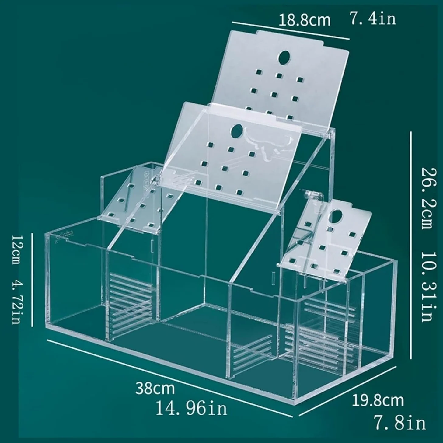 Castillo de hormigas de acrílico Caja de aislamiento especial for incubación de acuicultura de escritorio, bomba de filtro de agua circulante, decoración for pecera de oficina en casa, pecera for pece