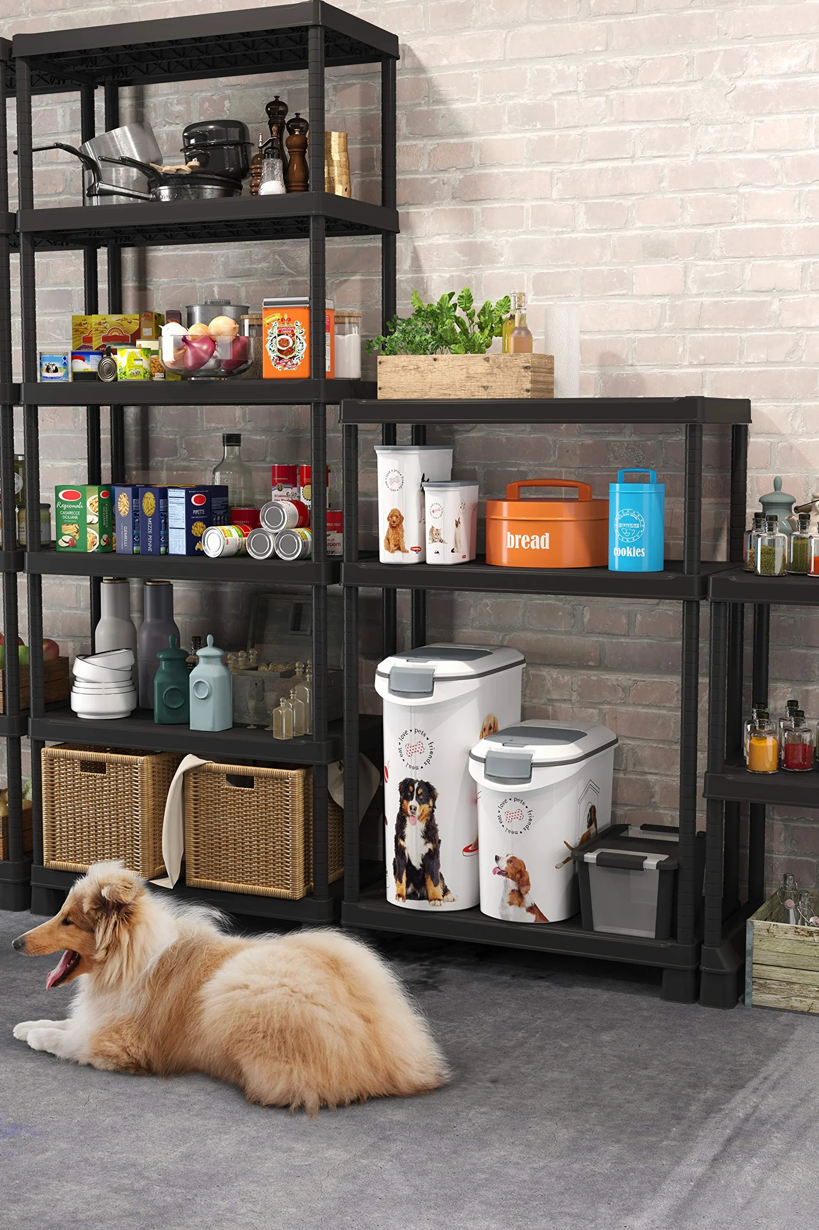 Curver 241095 - Contenedor para Pienso con Ruedas 12 Kg/ 35 L, 27 x 49 x 60 cm