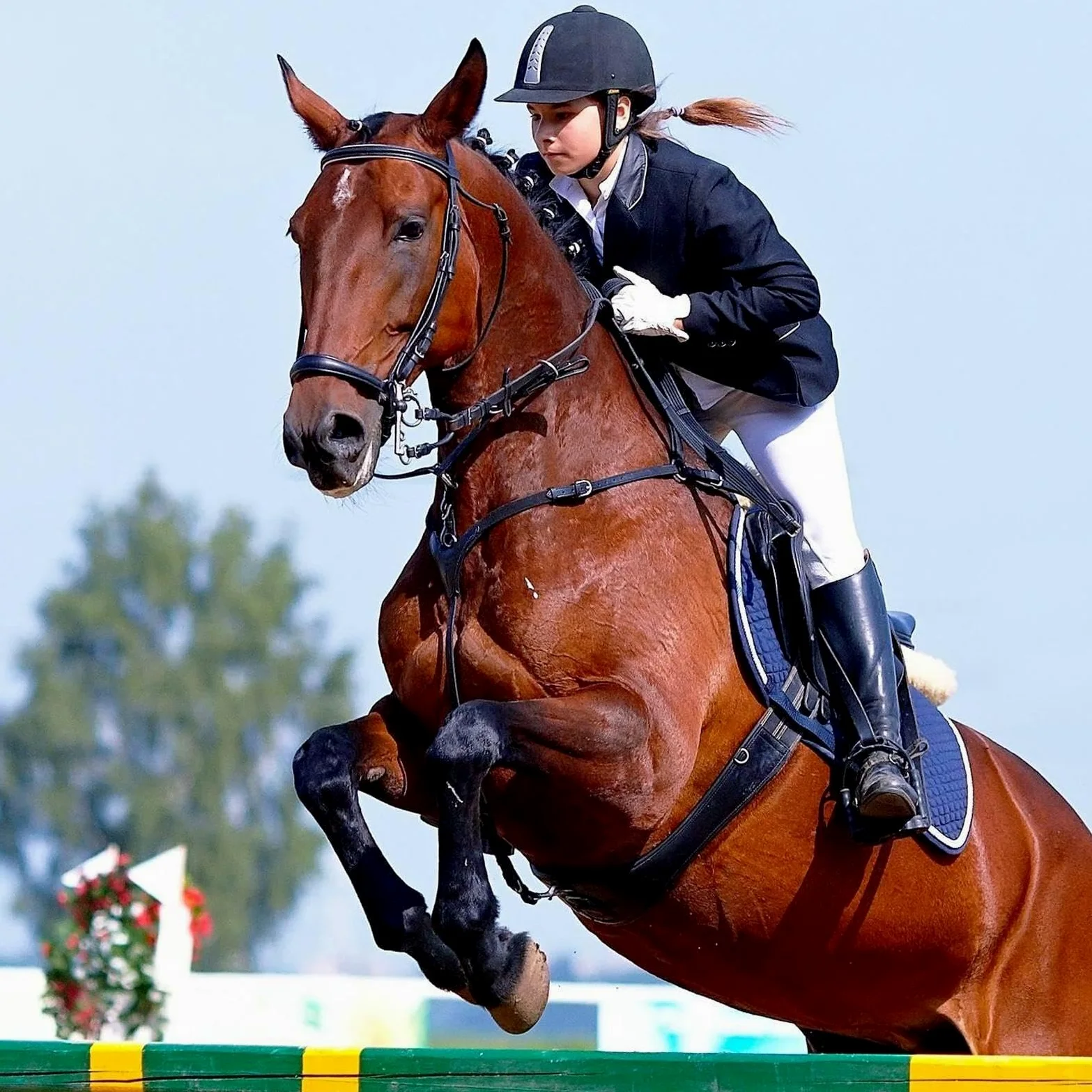 Sudadera Para Silla De Montar Almohadilla para Equitación Transpirable | Accesorio De Entrenamiento Y Competición Con Amortiguación