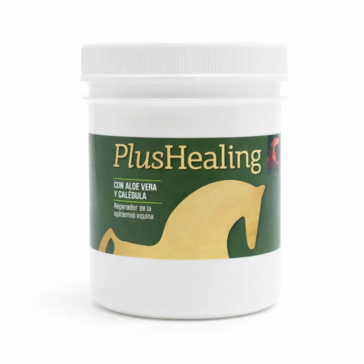 LABORATORIOS PINO Plushealing Producto para Higiene y Cuidado Cutáneo en Caballos – Ayuda a la Cicatrización de Rozaduras y Abrasiones – Uso Externo – Envase 500 ml