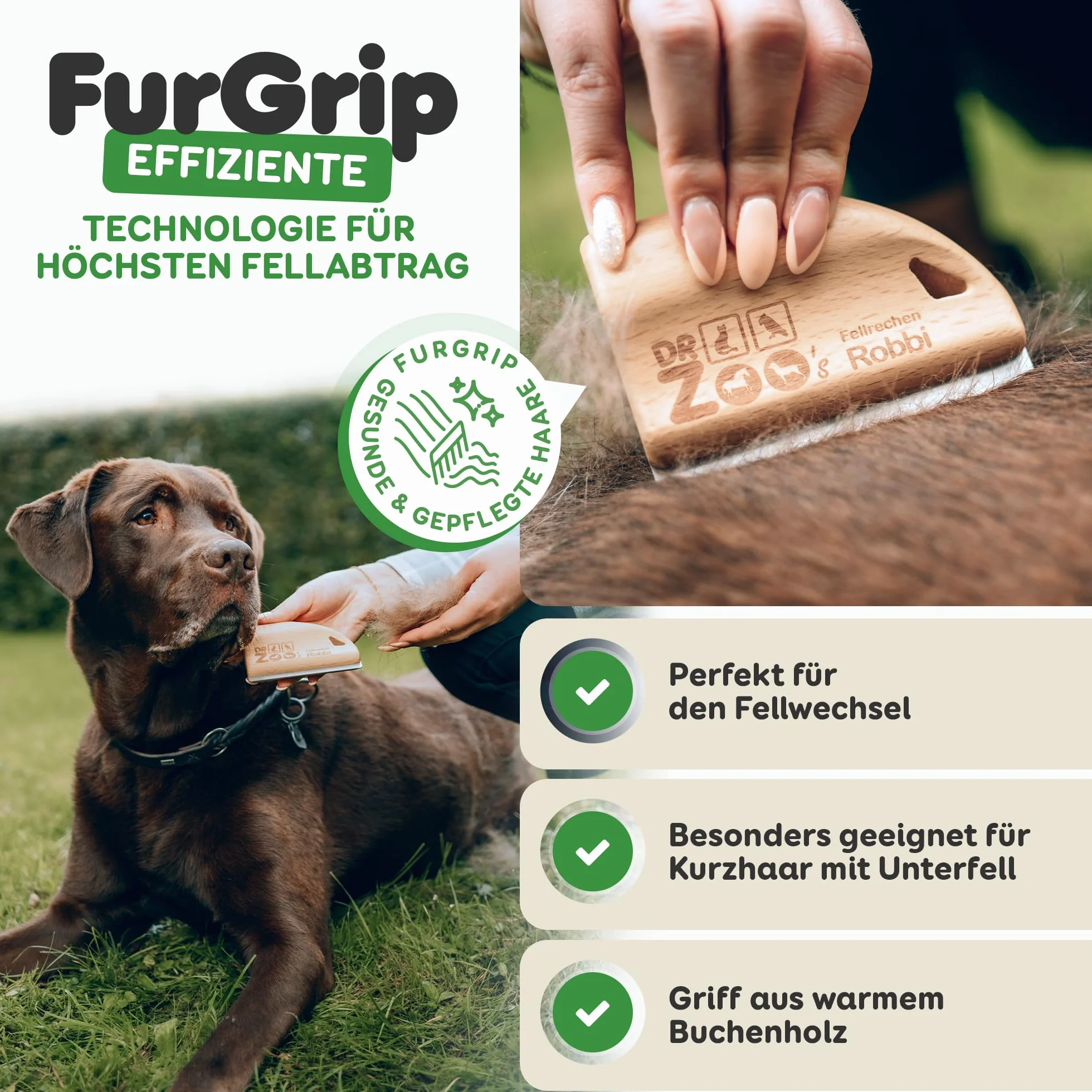 DR Zoo Cepillo para perros "Robbi" – Cepillo milagroso de alta calidad para el cuidado eficaz para perros pequeños y grandes, ideal para eliminar el pelo corto con capa interna