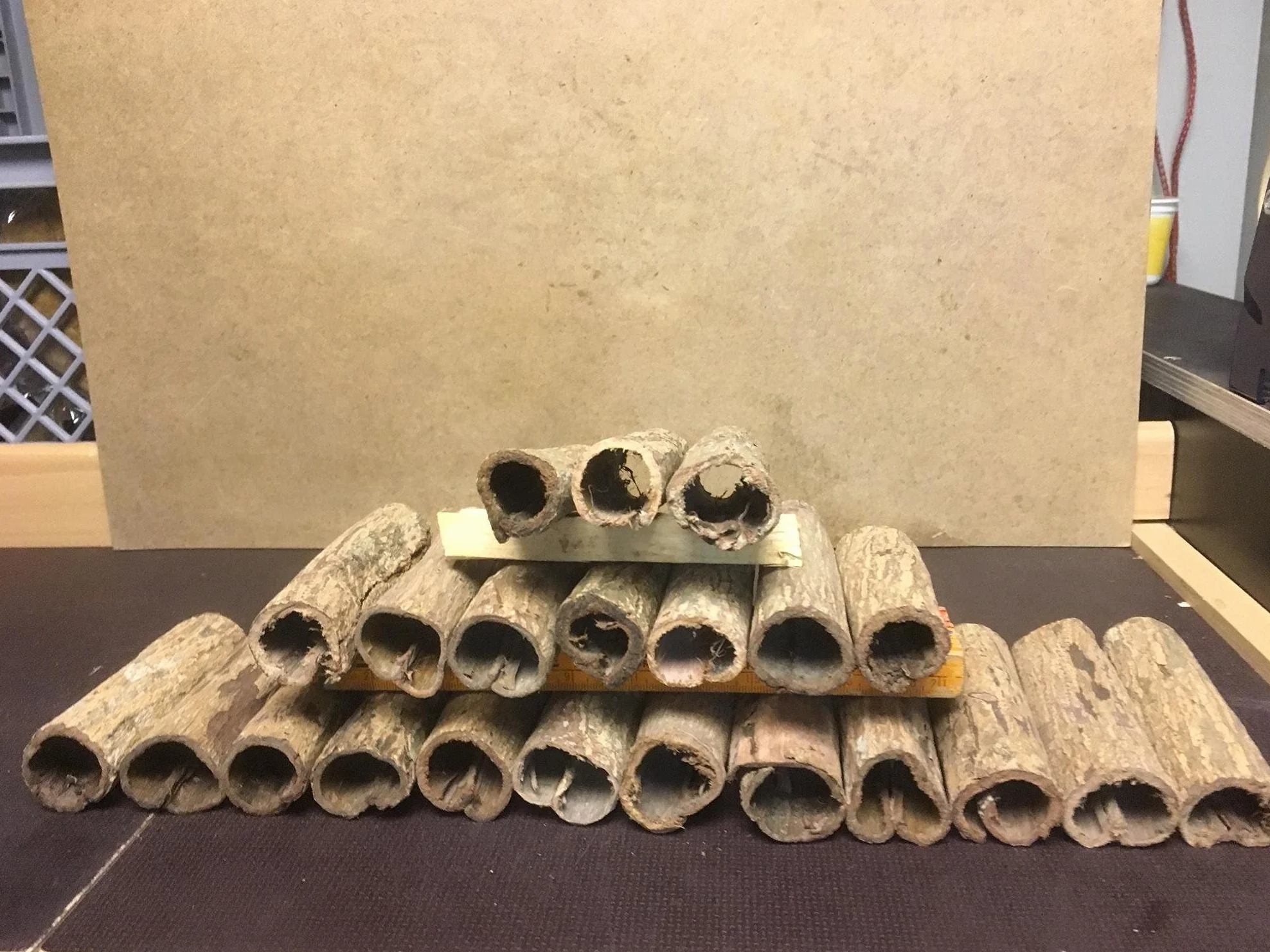 Tubos de corteza de almendro indio de diámetro de 3 cm x 10 cm hasta 12 cm (Catappa Barks Cave/Tube, cueva de siluro)