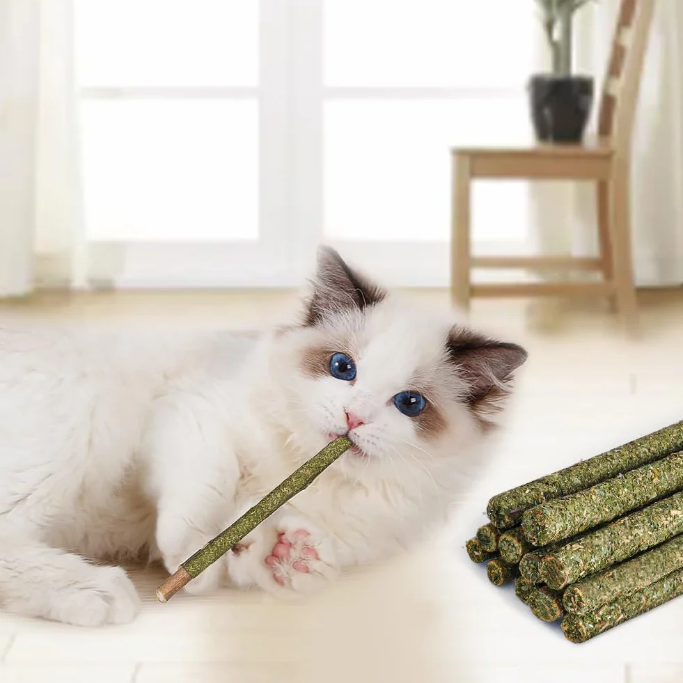 OSDUE Palitos De Hierba Gatera, 12 Masticar Palos para Gatos, 100% Orgánico Natural, para Aliviar el Aburrimiento y Limpiar los Dientes
