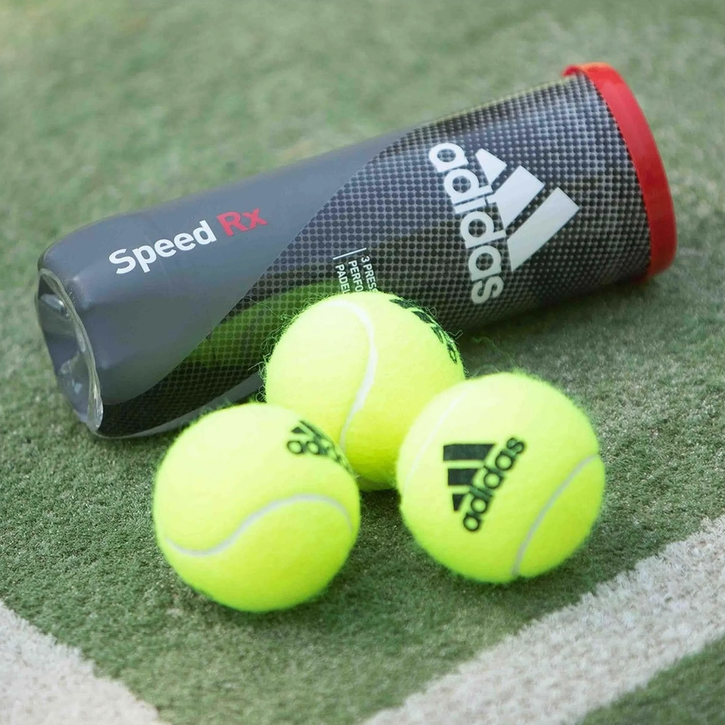Adidas Pelota de Tenis para Adulto