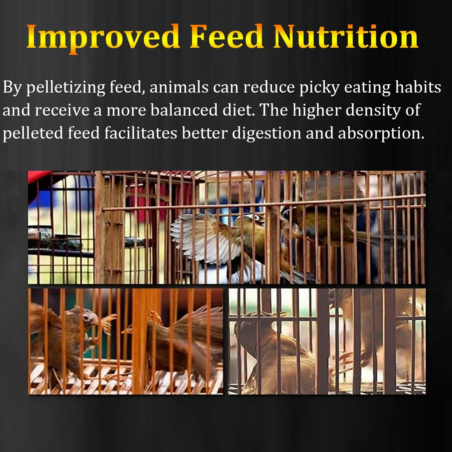 Máquina de pellets de alimentación animal con múltiples placas de pellets para mejorar la nutrición y la eficiencia en la producción de alimentos para aves de corral y mascotas