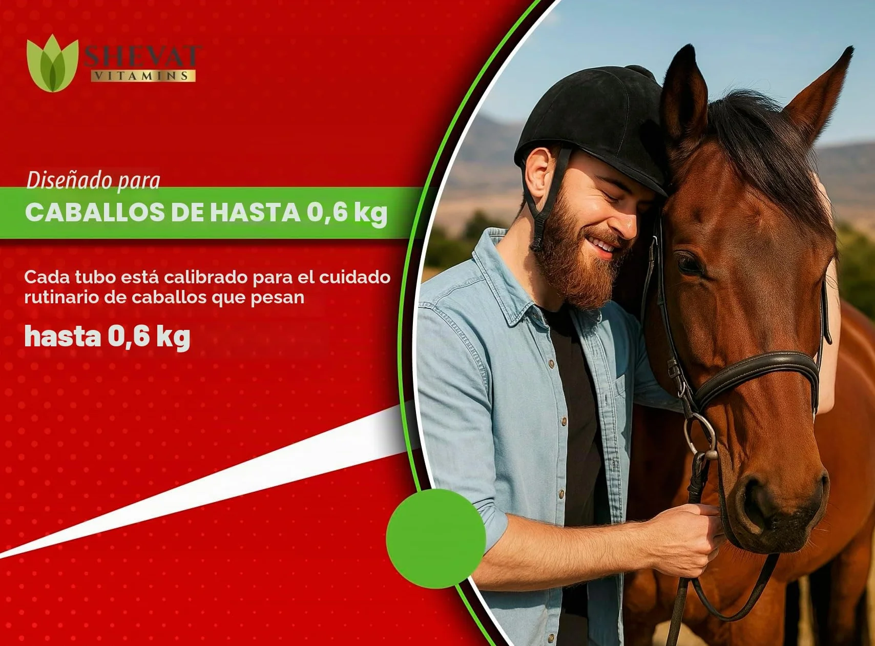 Ivermectin Horse Paste 1.87% Apple Flavor 6.08 g Tube for Horses up to 1200 lbs