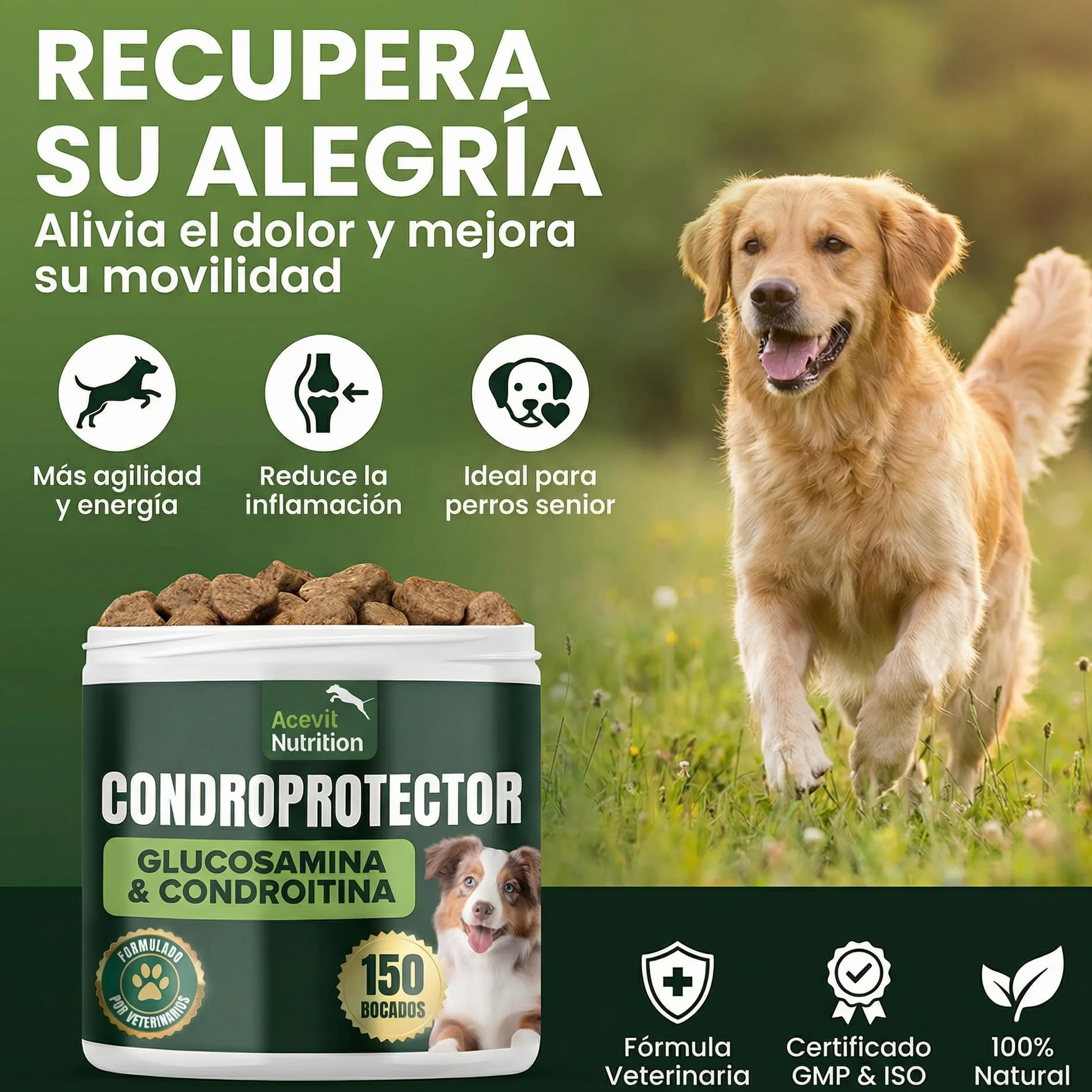 Condroprotector para Perros, 150 Unidades, 100% Natural, Antiinflamatorio, Articulaciones y Cartílagos, Antiartrosis con Colágeno, Glucosamina, Condroitina, MSM, Ácido Hialurónico, Omega 3 y 6