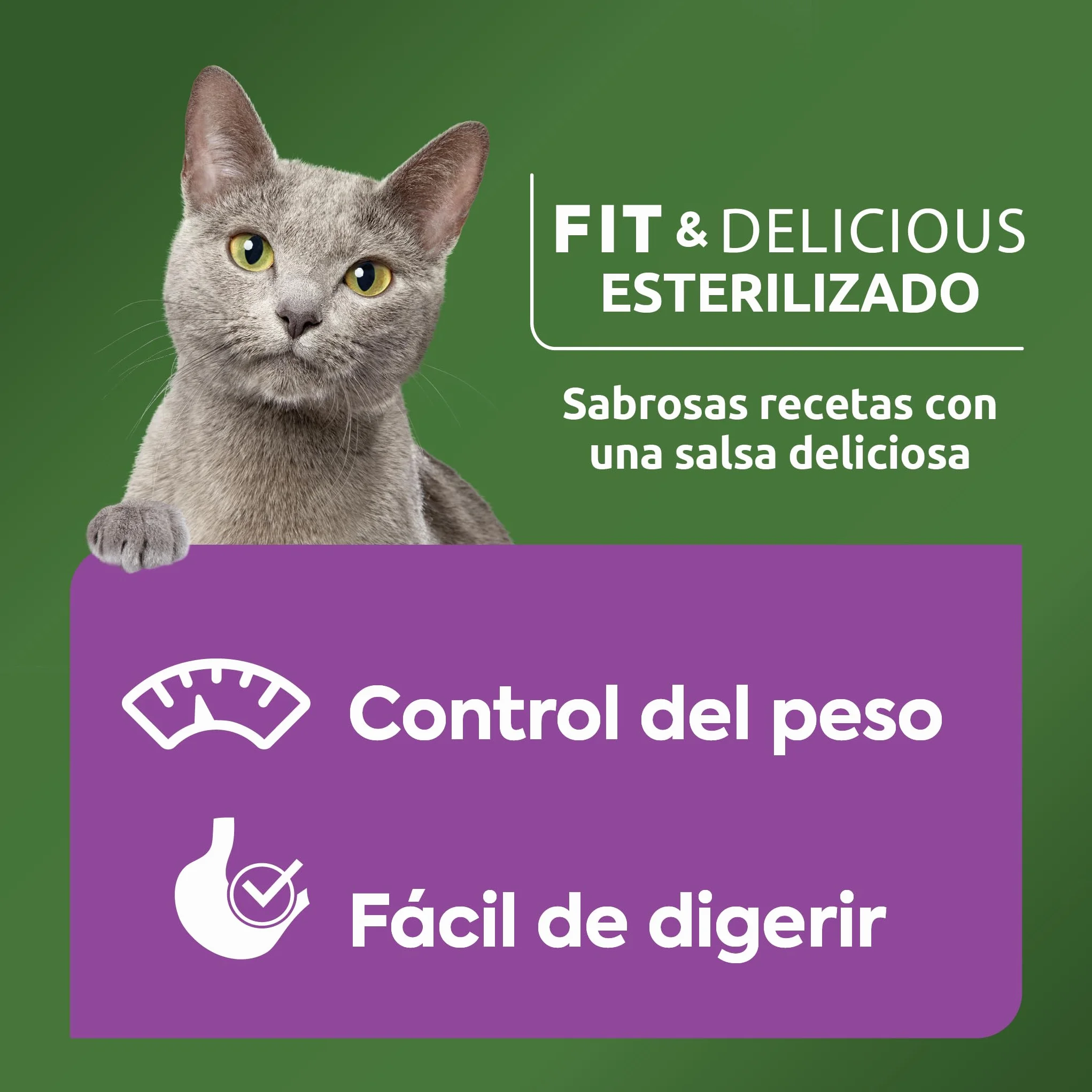 Ultima Comida Húmeda para Gatos con Variedad de Pescados - 12 x (4 x 85gr) - 4080g