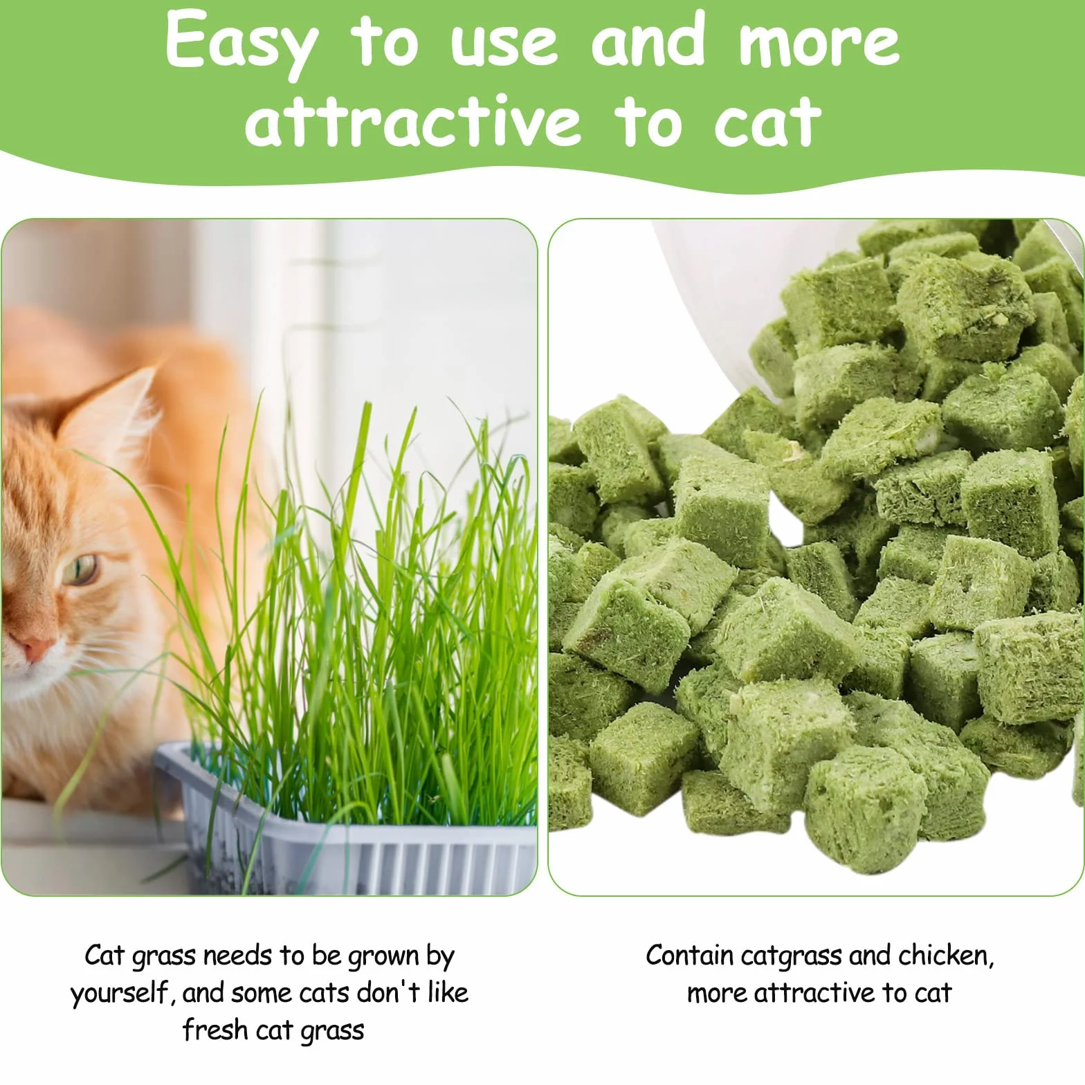 Snacks para Gatos, 60g Snack Liofilizado con Hierba Gatera para Limpiar los Dientes