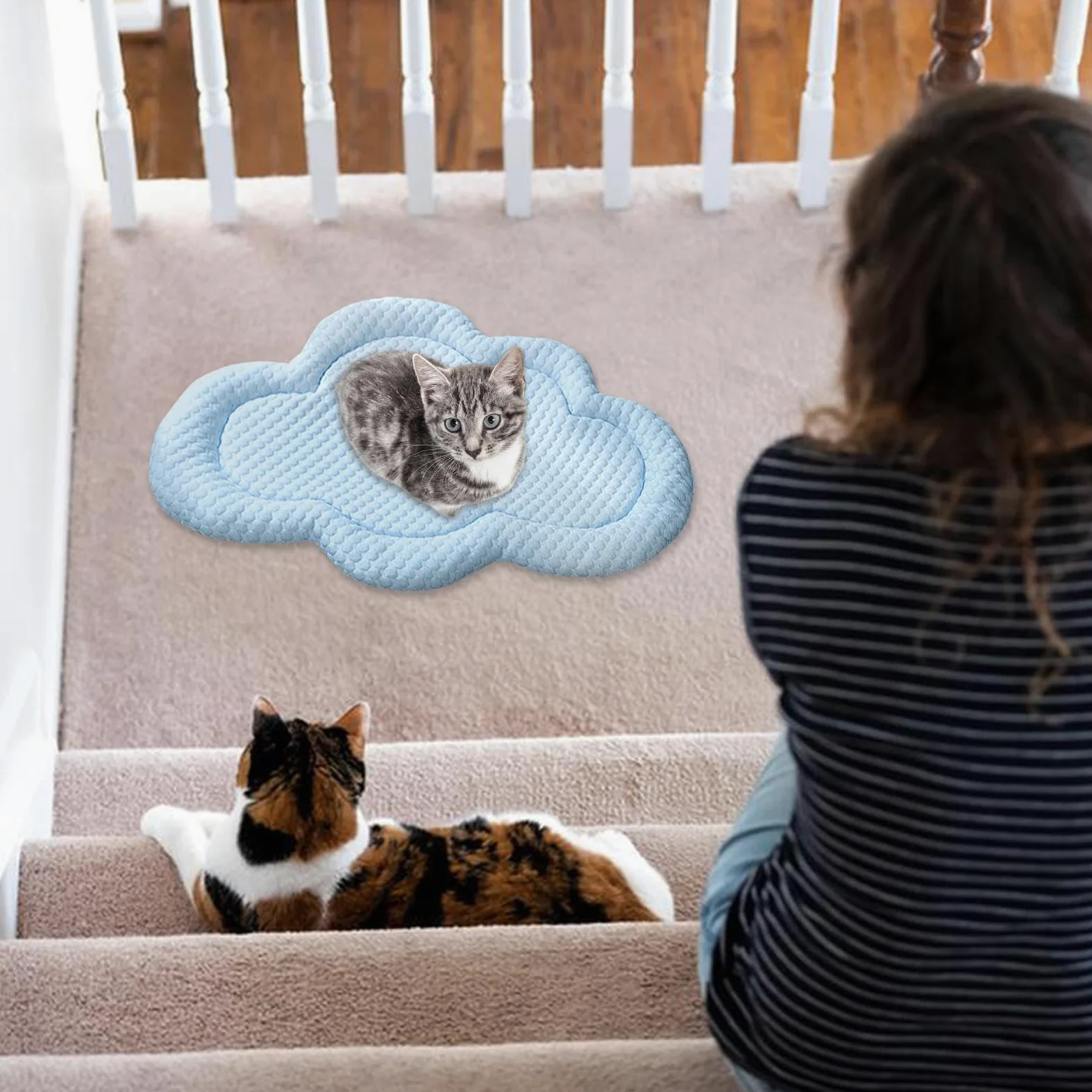 Tapete de enfriamiento para perro, tapete fresco en forma de nube para gatos, suministros para mascotas de y verano para perros pequeños y medianos, tapete portátil para dormir para casa | gatos, suministros para mascotas de y verano para perros pequeños
