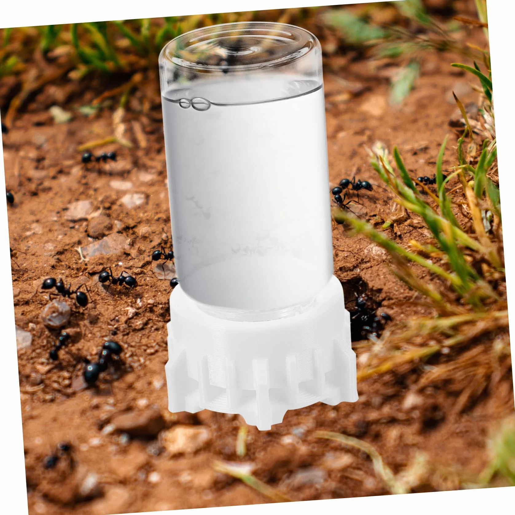 POPETPOP Bebedero para Hormigas de 20ml Diseño Profesional y Resistencia al Desgaste, Dispensador de Agua de Vidrio y Plástico Adecuado para Observación Científica en Verano