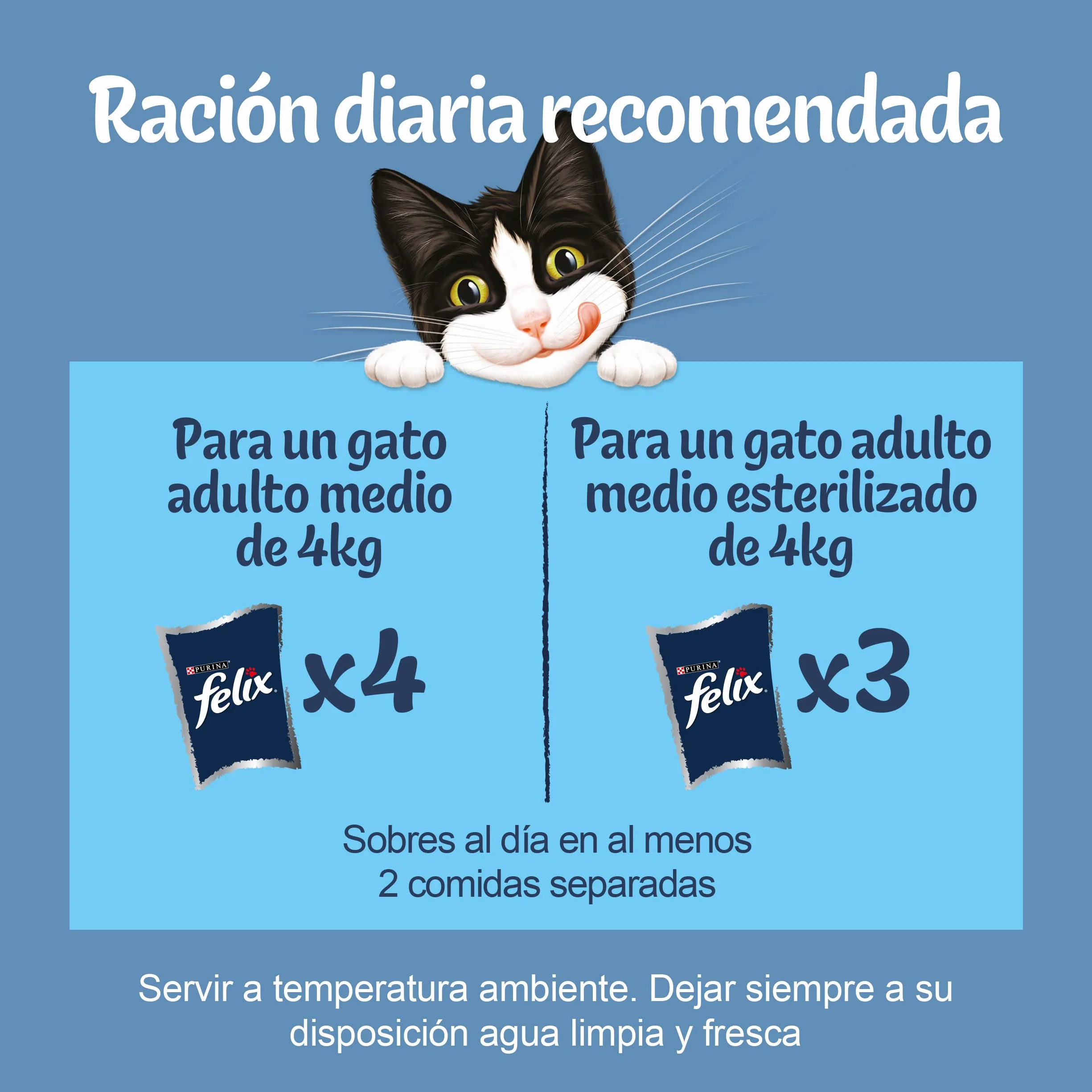 FELIX Original, Comida Húmeda para Gato Adulto, Gelatina, Surtido de Pollo y Buey, 12 Packs de 4 Sobres de 85 g. (48 Sobres)