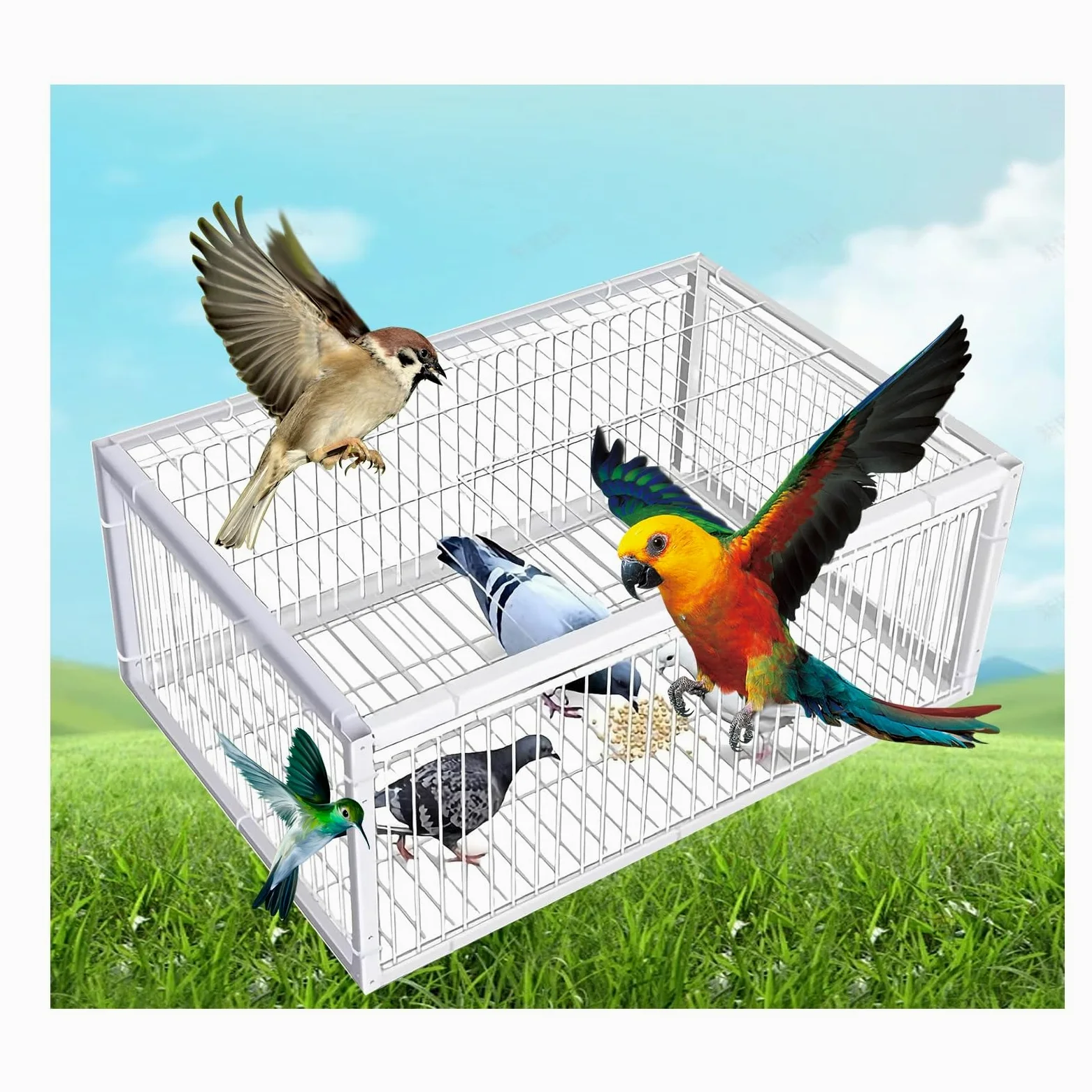 Trampas for Palomas con diseño antiescape, Jaula for Palomas Salvajes, Trampa humanitaria for Palomas con diseño antiescape.(No Skylight,4 Imports_40*30CM)