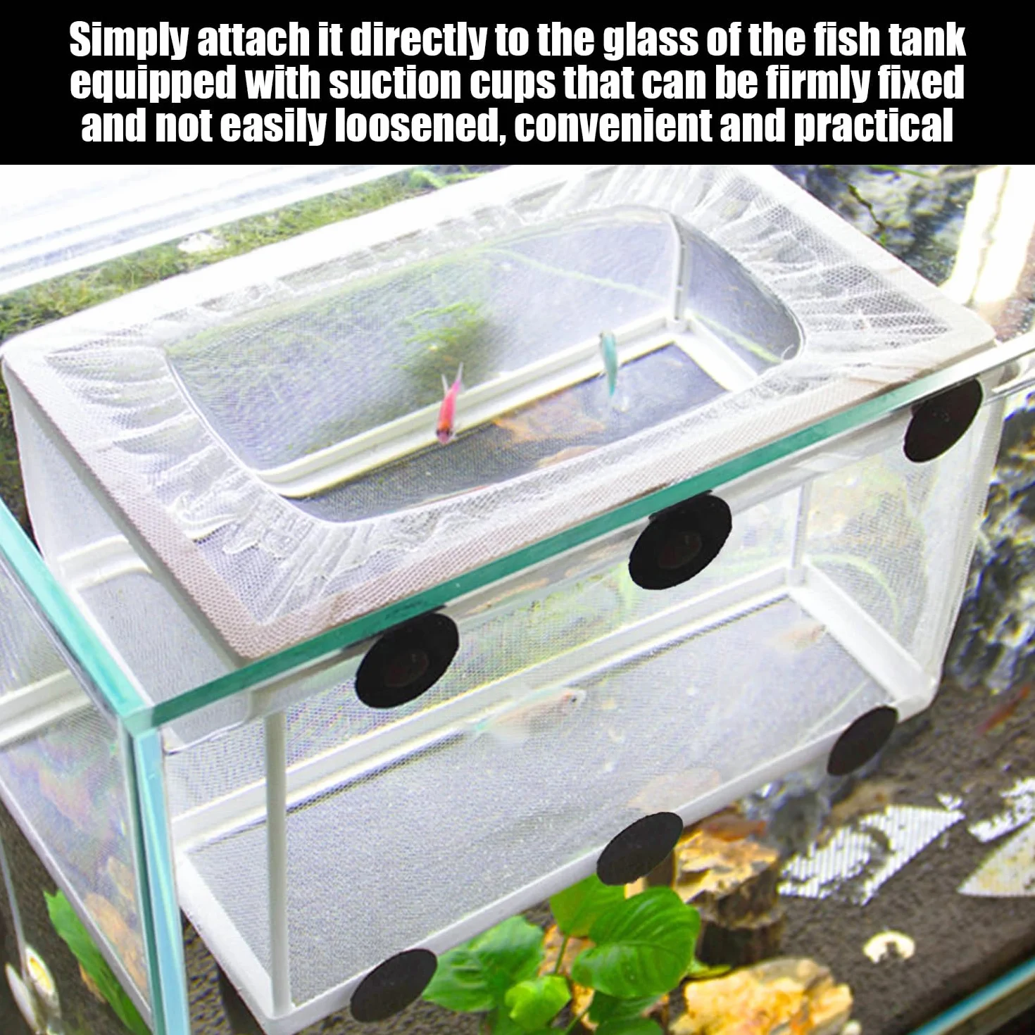 1 red aislante para peces con repuesto y caja de aislamiento, incluye ventosa para incubadoras de jóvenes