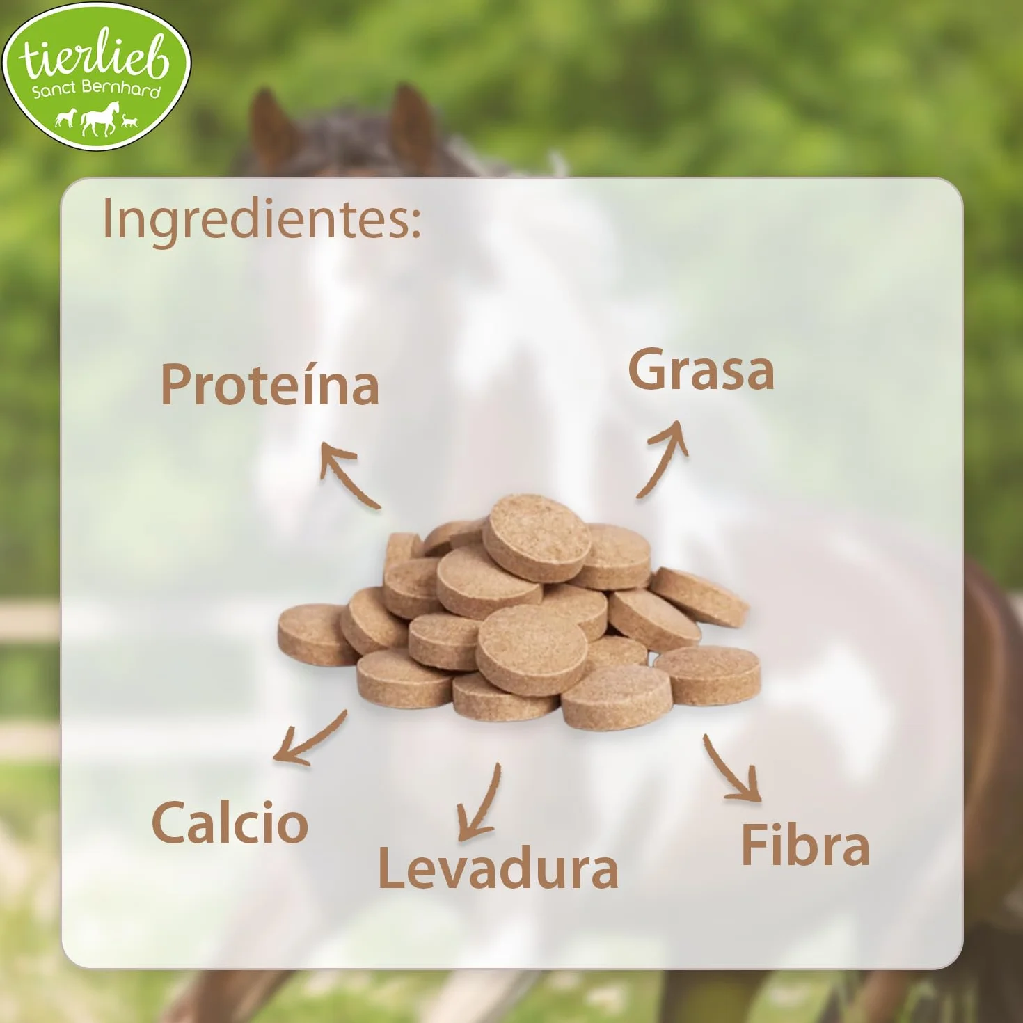 Biotina para Caballos – Pastillas para Cascos Fuertes y Flexibles, Mejora de Piel y Pelaje, Vitamina B8 para Equinos – 50 Días, Fácil Dosificación