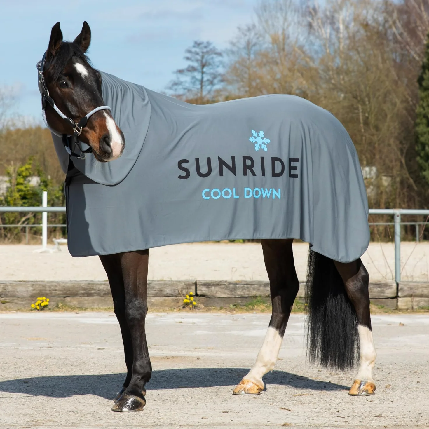 SUNRIDE Manta refrigerante con sección para el Cuello Cool Down (Juego de 3) - para Caballos - Efecto refrigerante eficaz - Cierre magnético - fácil de Usar (145 cm)