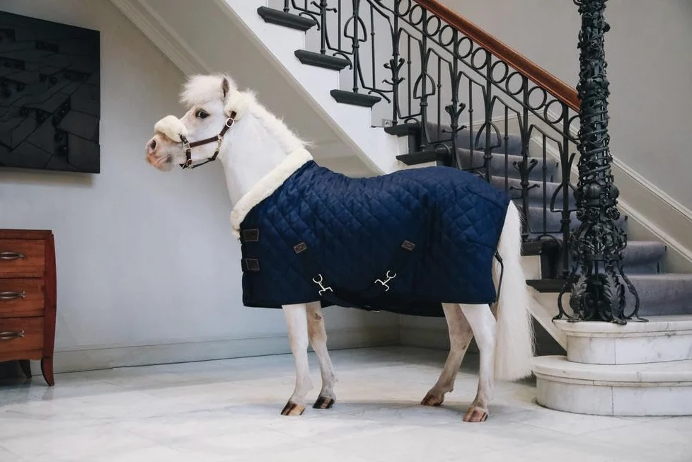 Kentucky Horsewear Tiny Show Rug - Manta de competición (pelo de conejo, 160 g, tamaño 90), color azul marino
